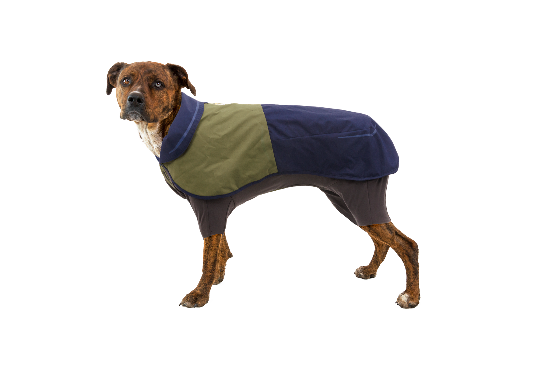 Sun Shower™ Coverall Dog Rain Suit