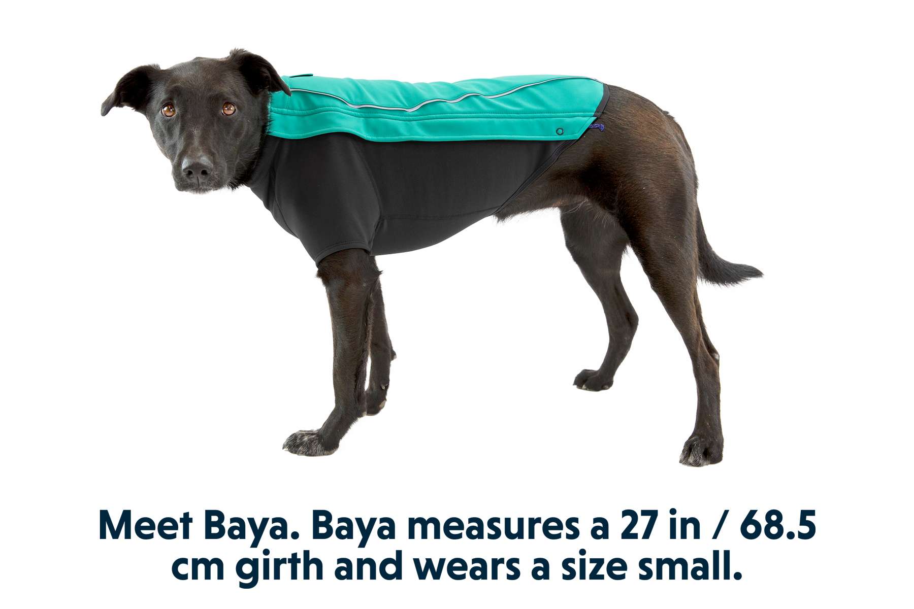 Cloud Chaser™ Dog Jacket