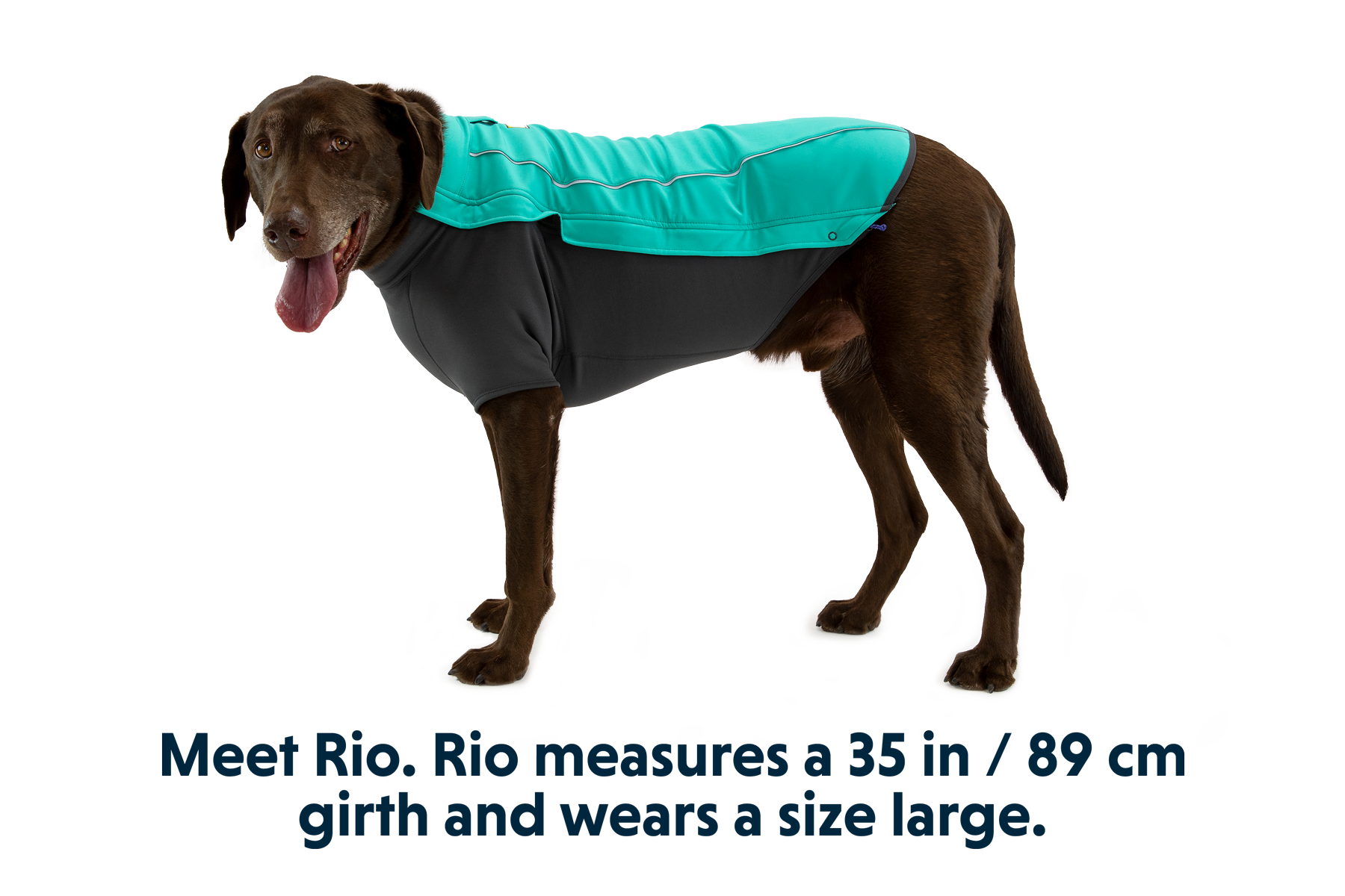 Cloud Chaser™ Dog Jacket