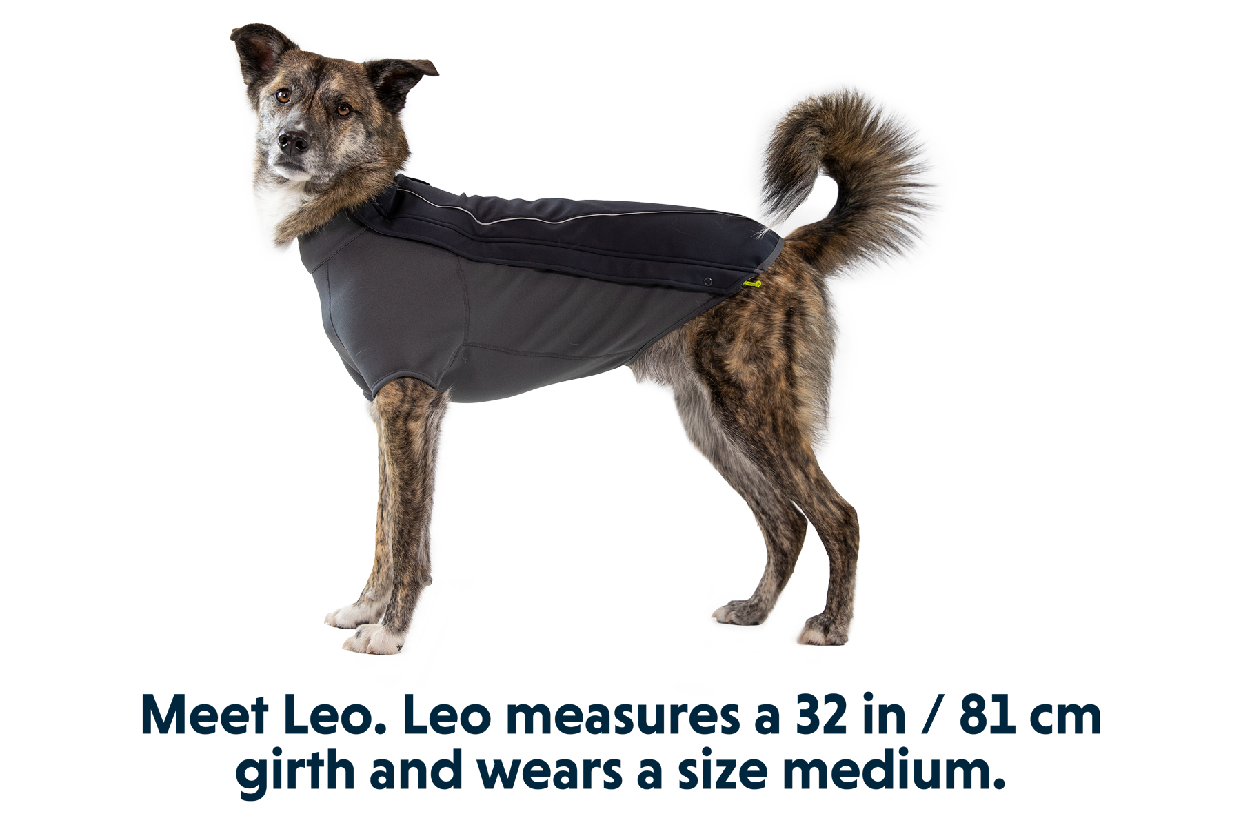 Cloud Chaser™ Dog Jacket