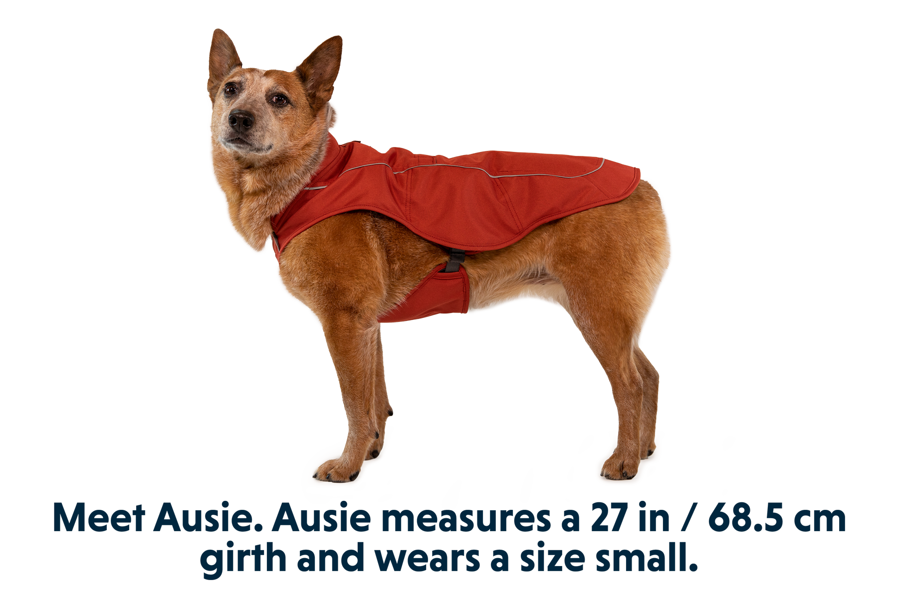 Overcoat™ Dog Jacket