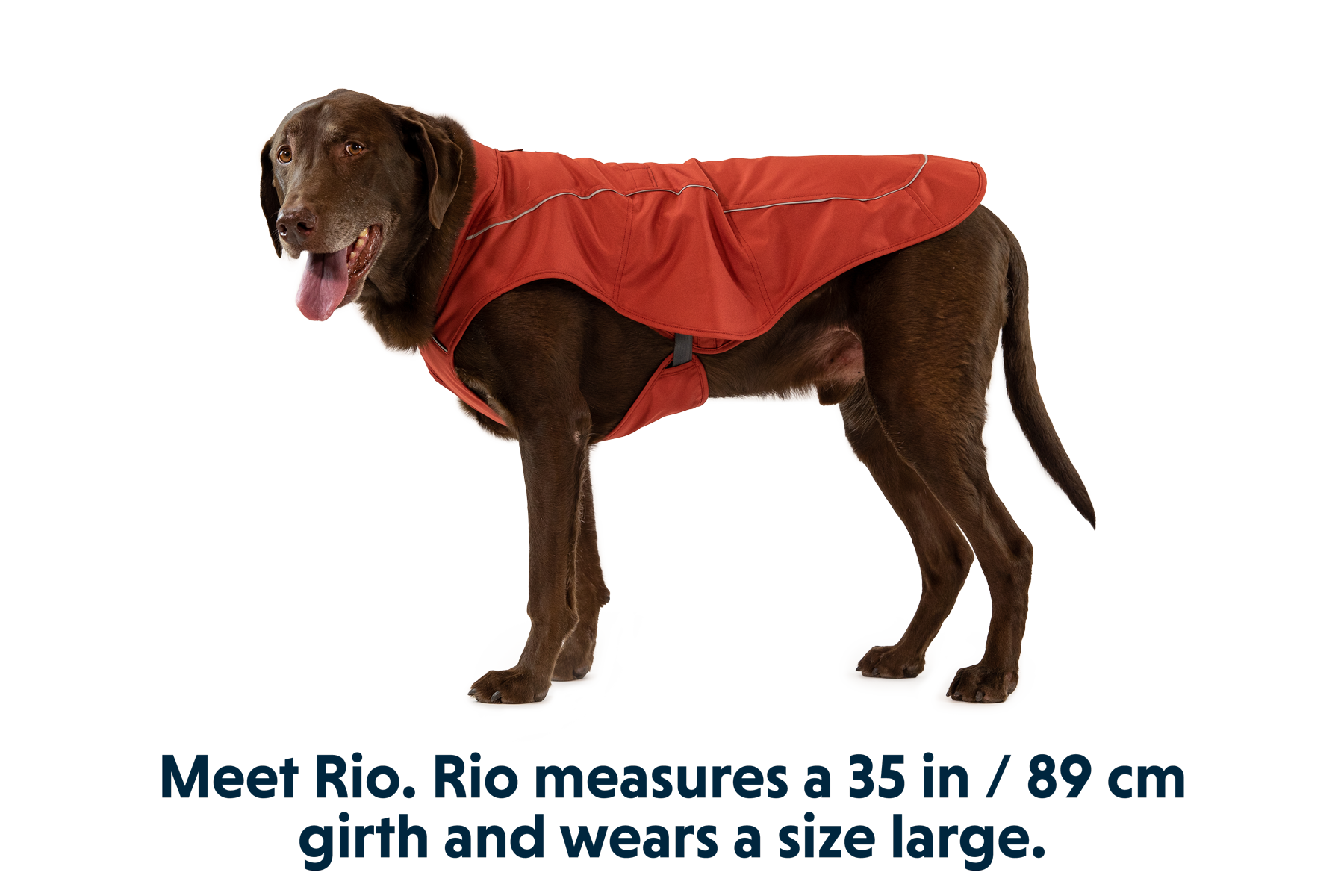 Overcoat™ Dog Jacket