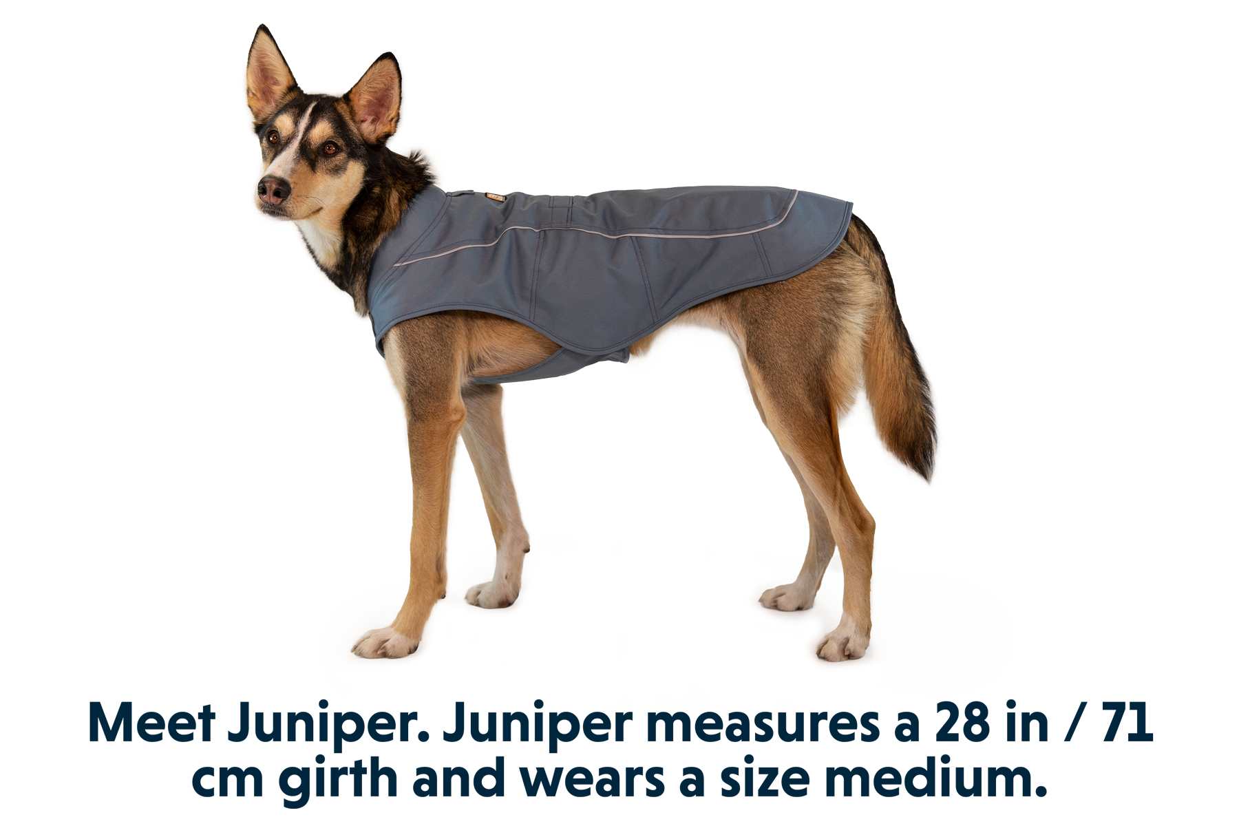 Overcoat™ Dog Jacket