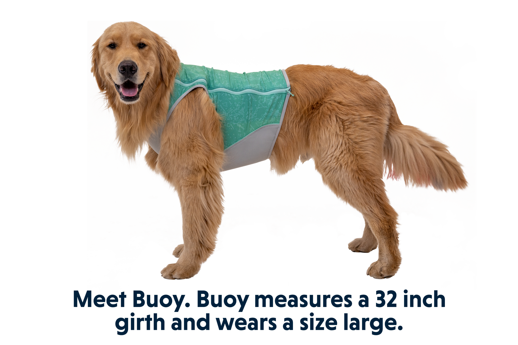Swamp Cooler Zip™ Dog Cooling Vest