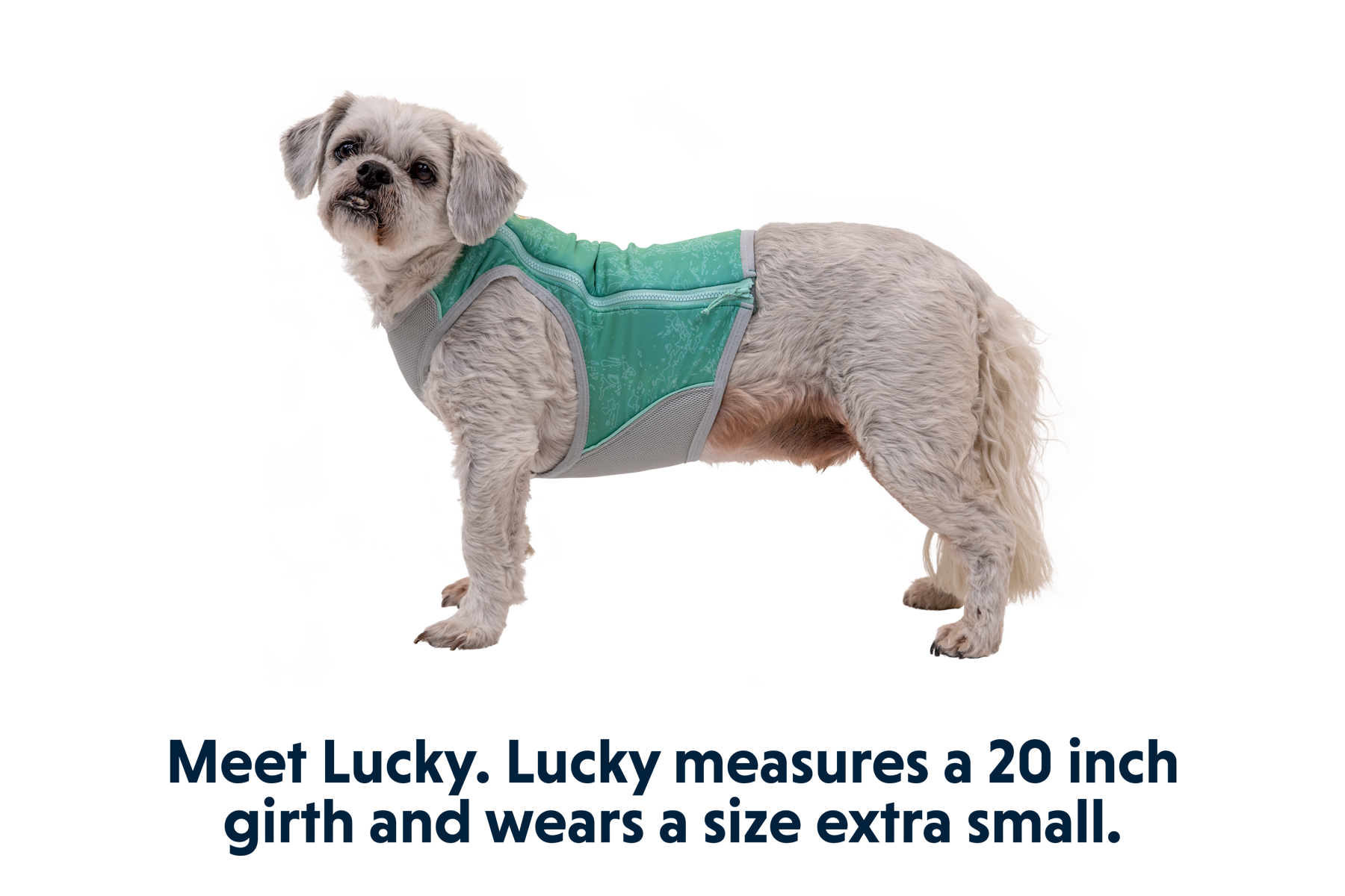 Swamp Cooler Zip™ Dog Cooling Vest
