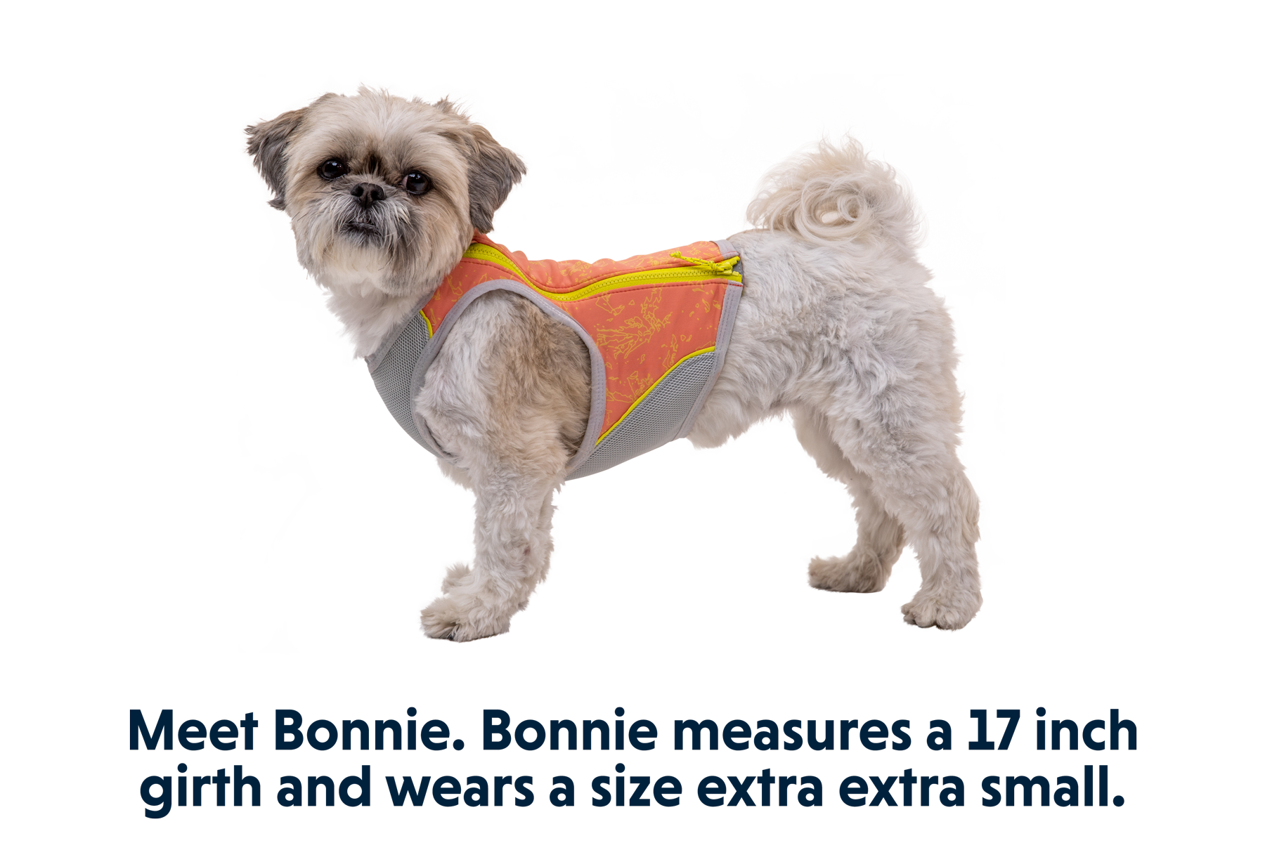 Swamp Cooler Zip™ Dog Cooling Vest