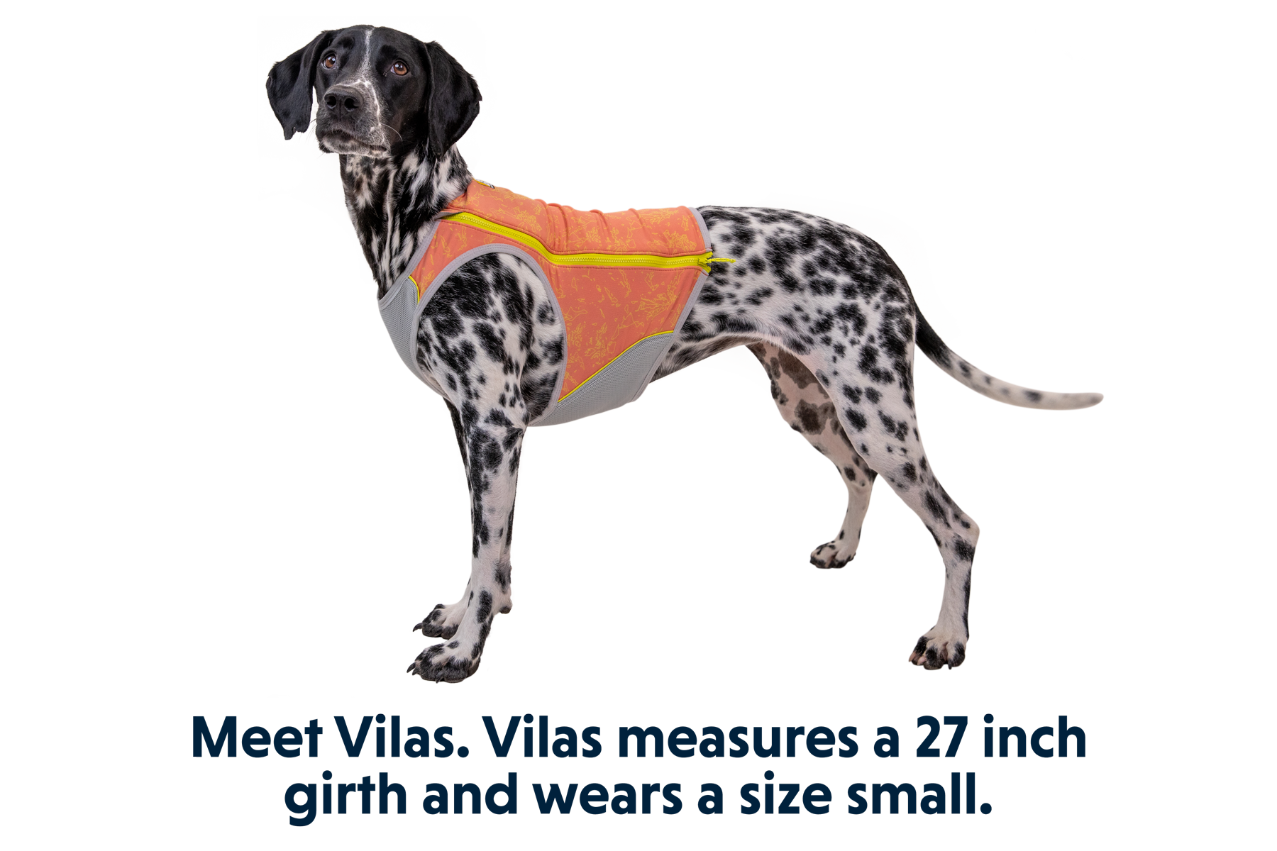 Swamp Cooler Zip™ Dog Cooling Vest