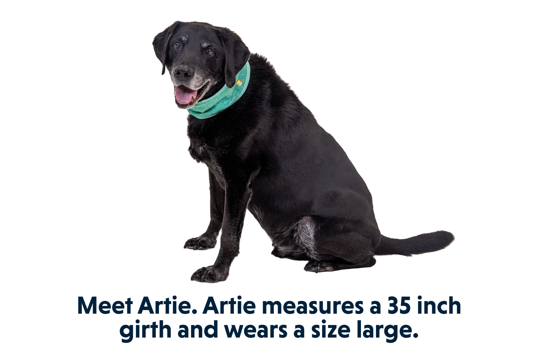 Swamp Cooler™ Cooling Neck Gaiter