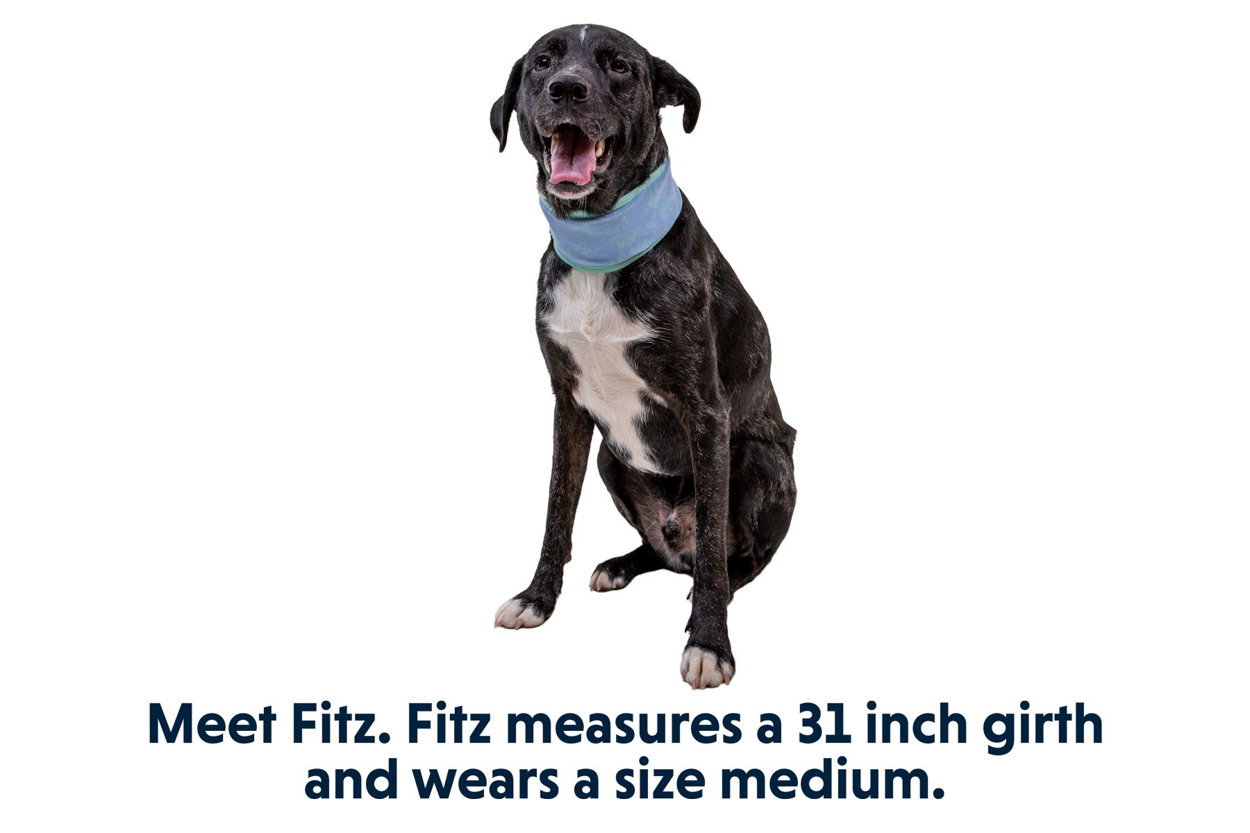 Swamp Cooler™ Cooling Neck Gaiter