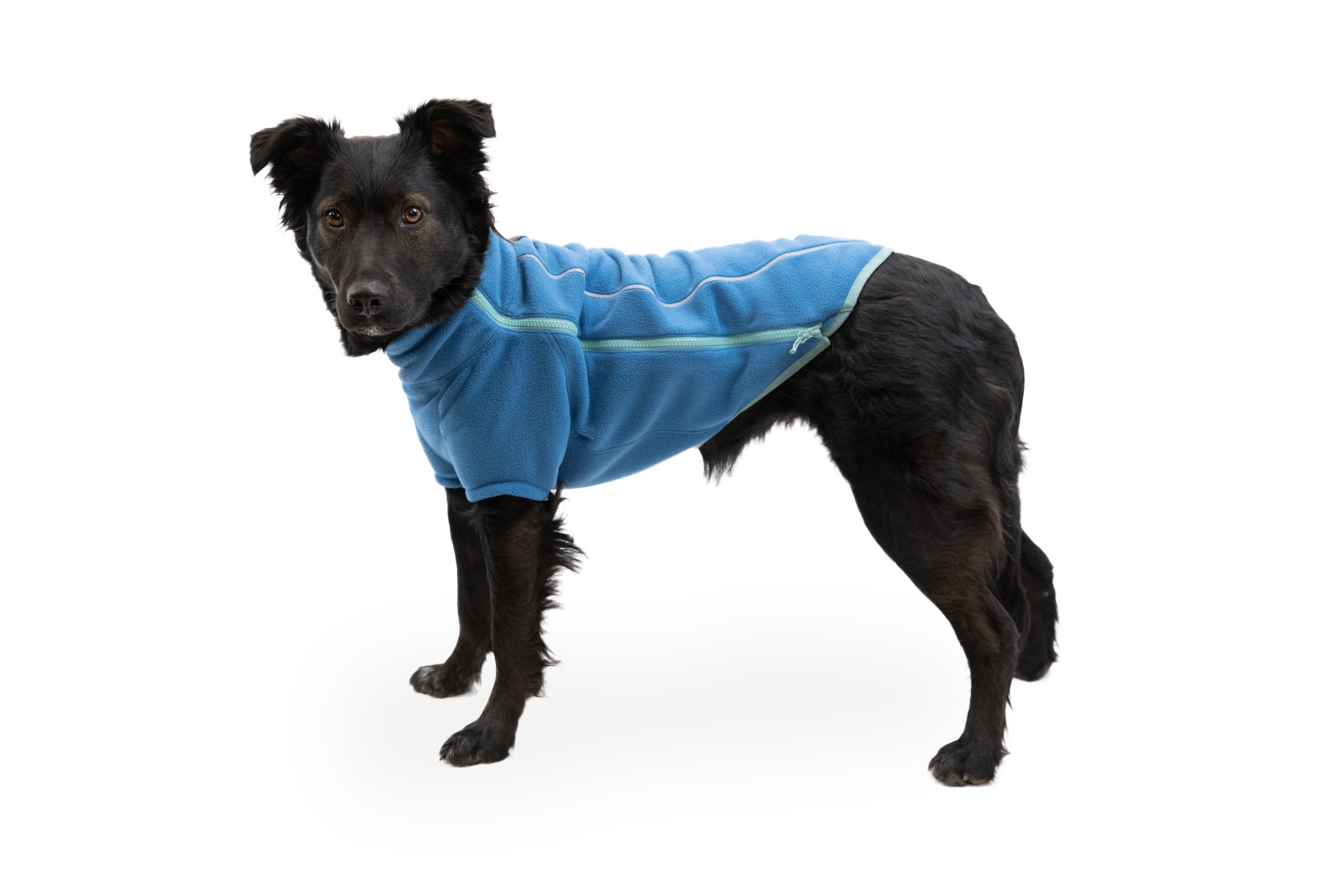 Climate Changer™ Dog Fleece