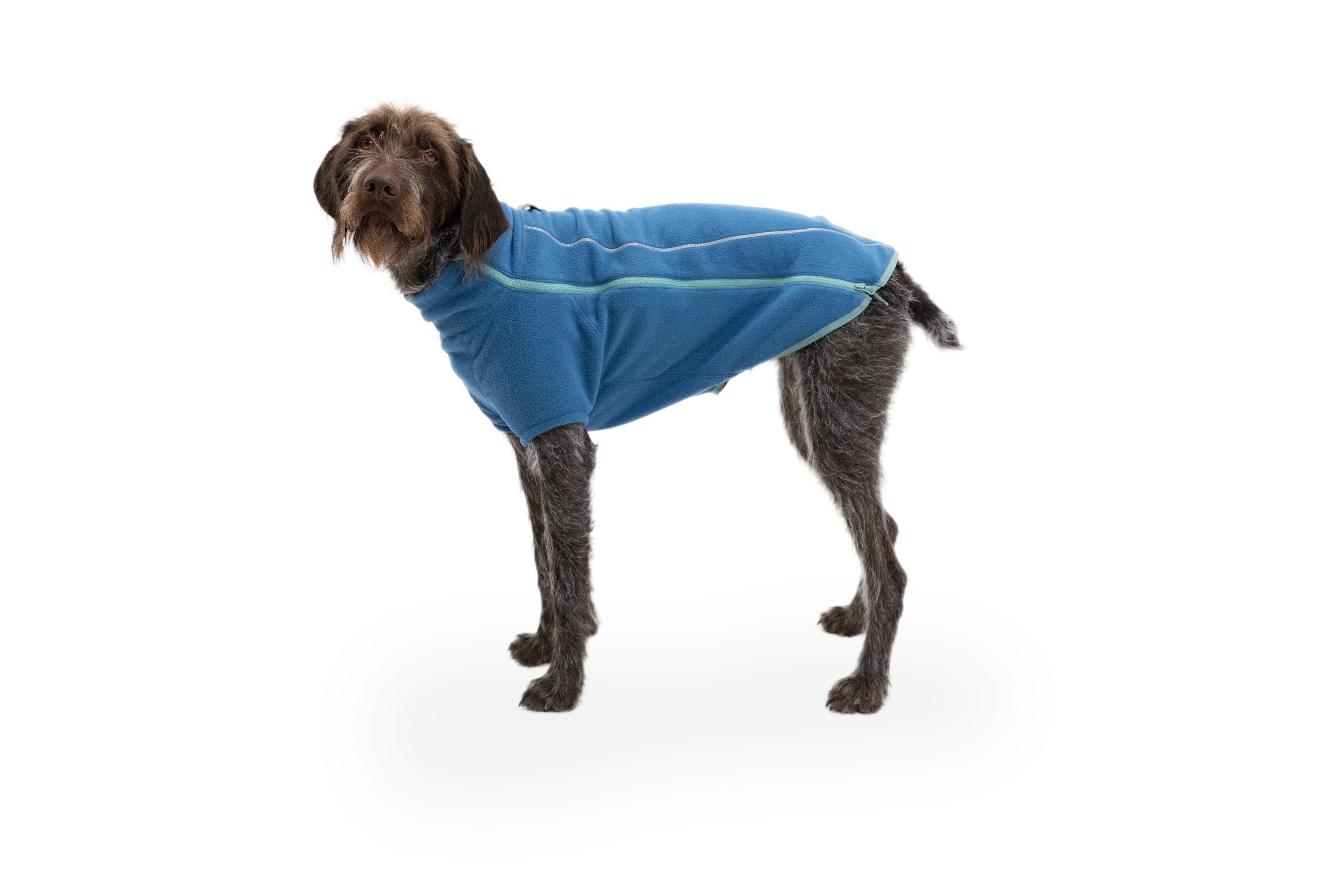 Climate Changer™ Dog Fleece