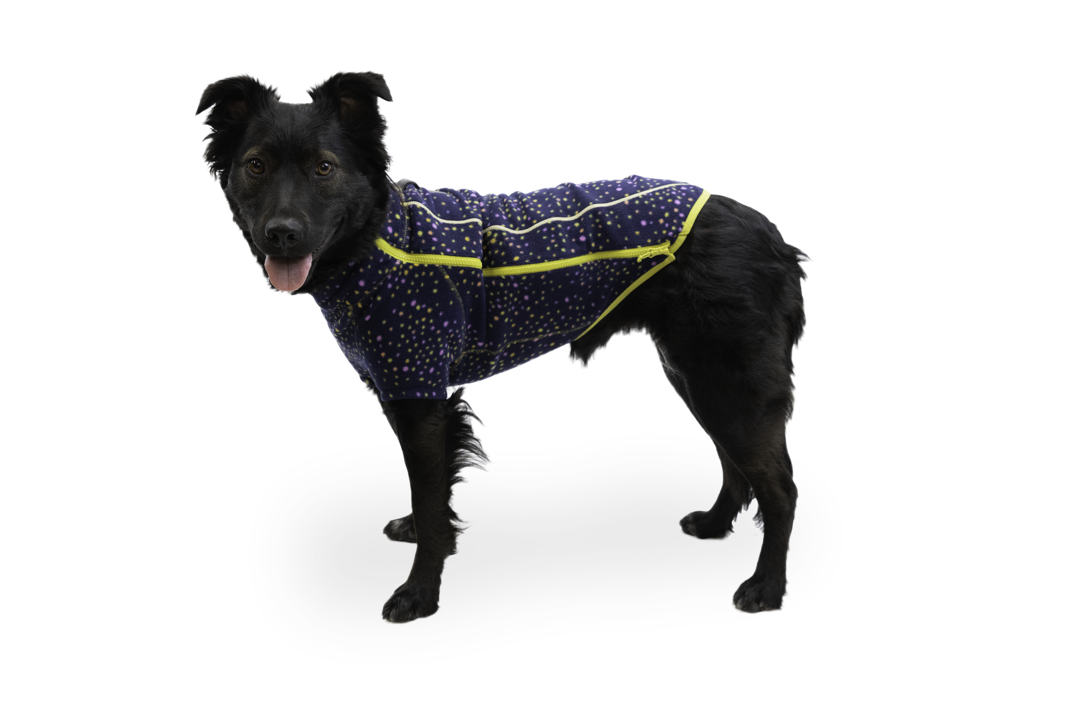 Climate Changer™ Dog Fleece