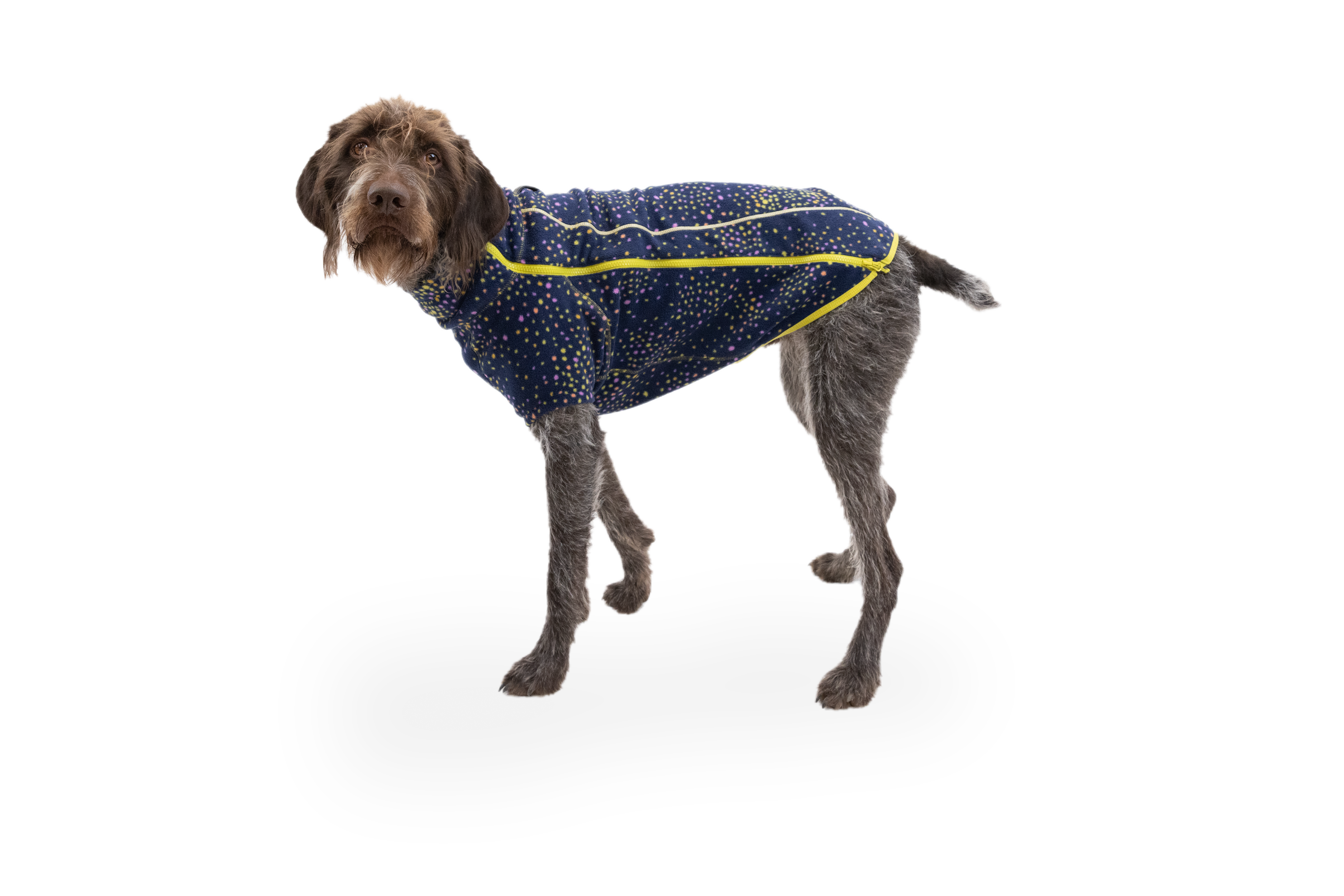 Climate Changer™ Dog Fleece