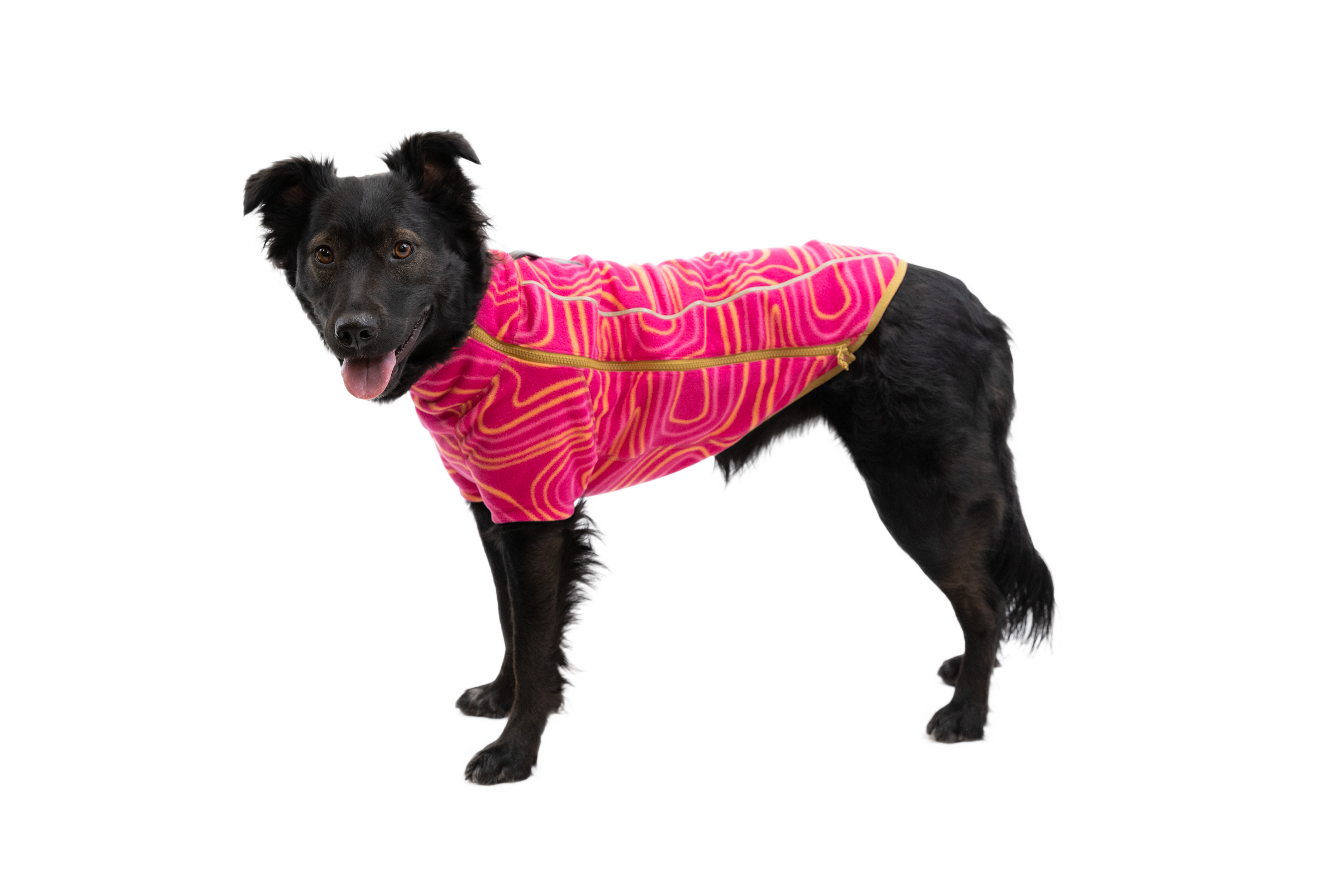 Climate Changer™ Dog Fleece