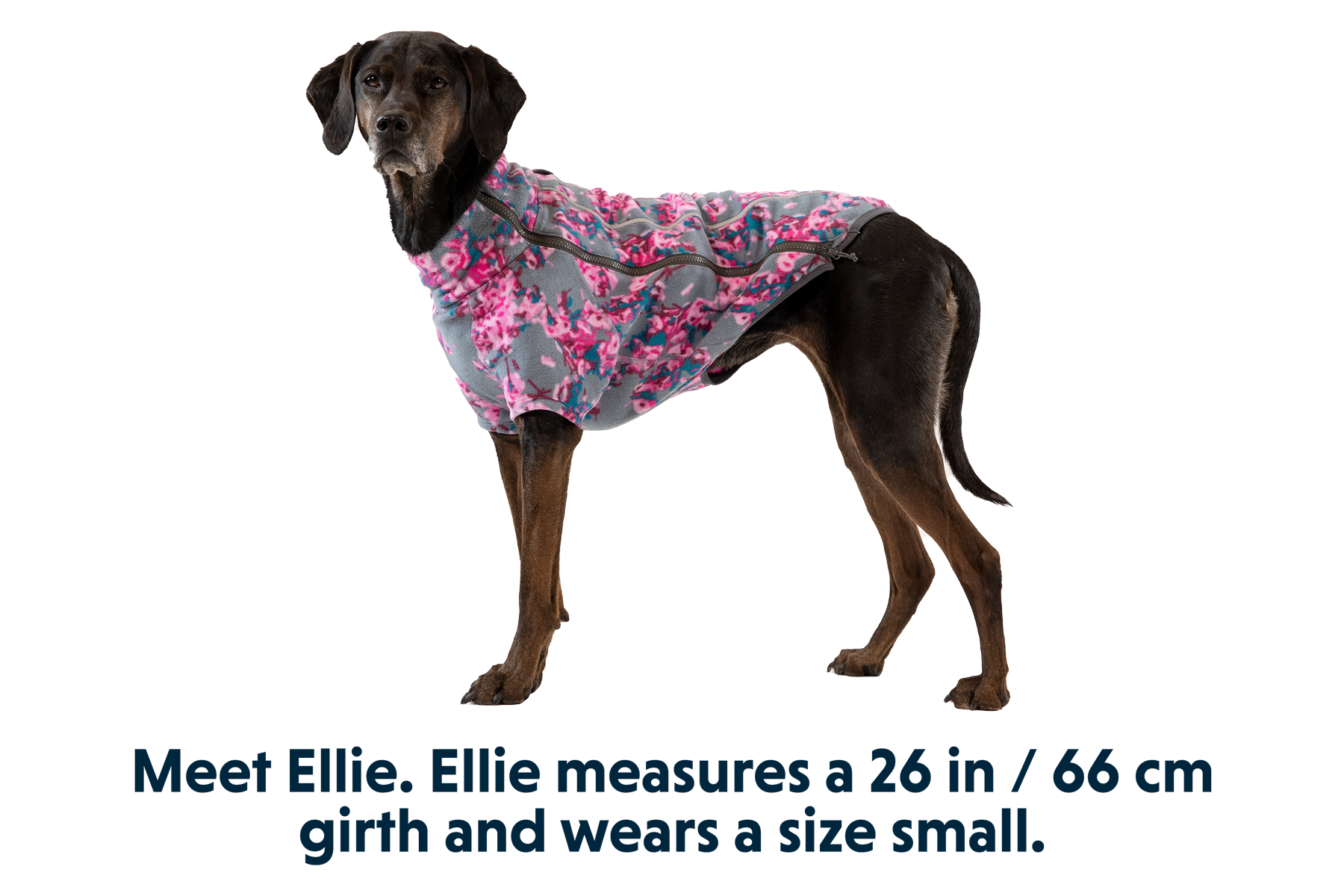 Climate Changer™ Dog Fleece