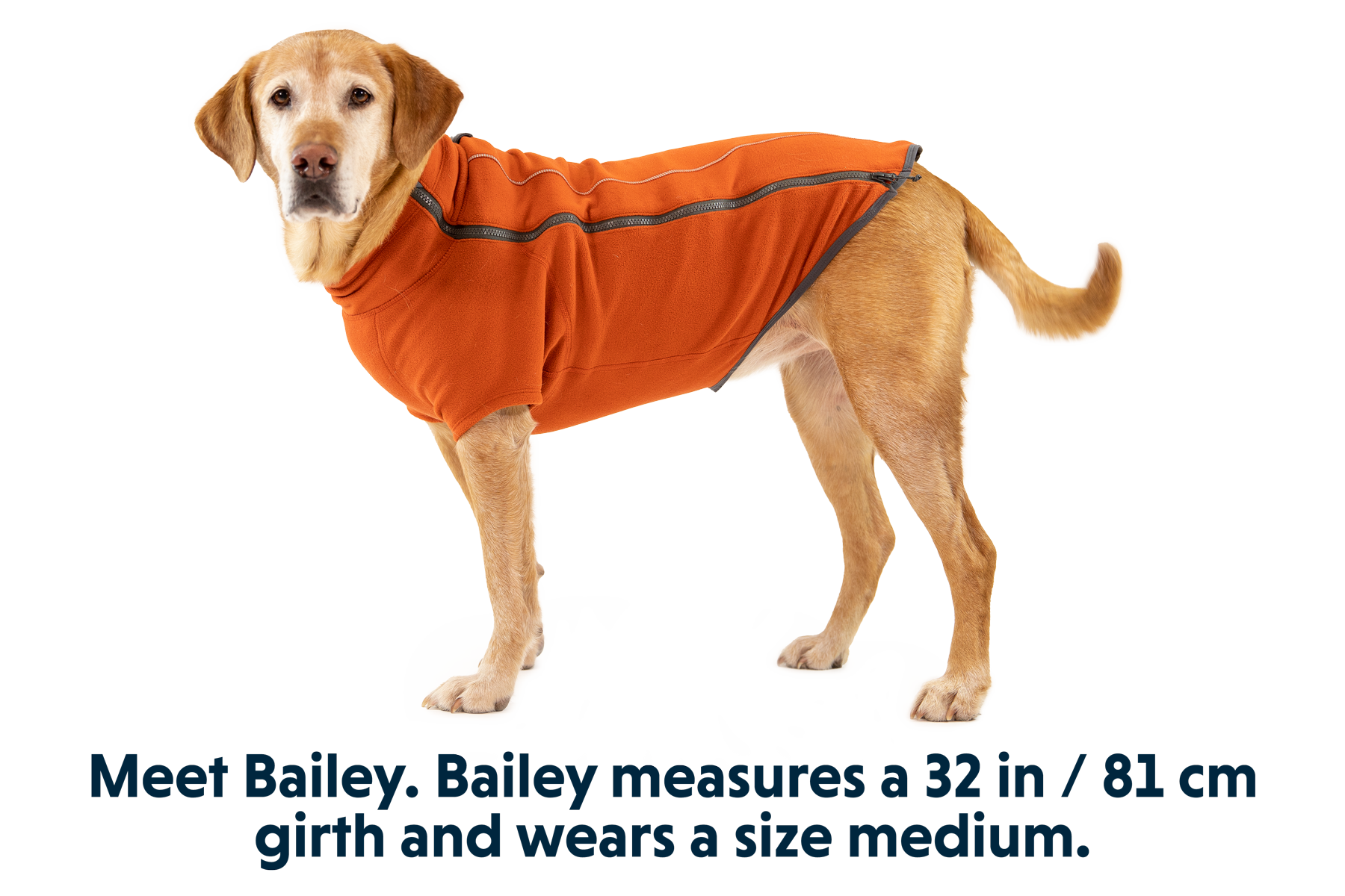 Climate Changer™ Dog Fleece