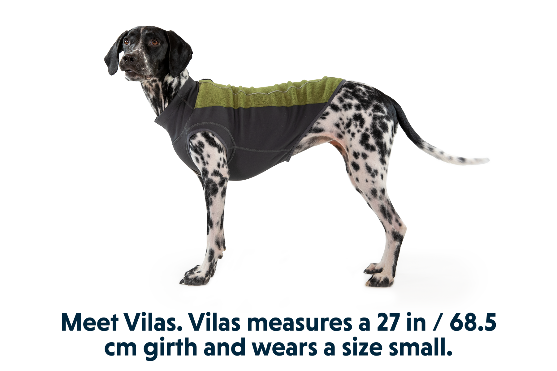 Climate Changer™ Dog Fleece Pullover