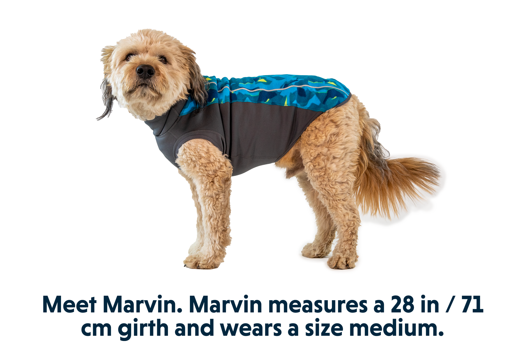Climate Changer™ Dog Fleece Pullover
