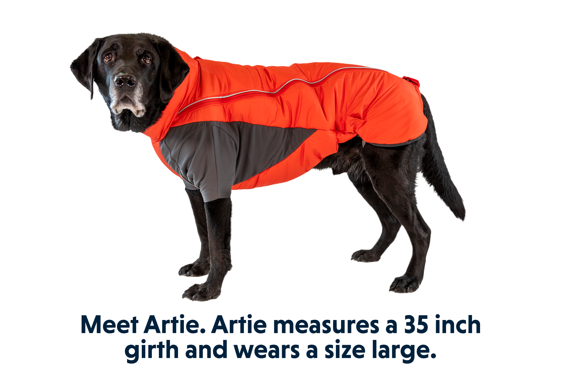 Furness™ Dog Jacket