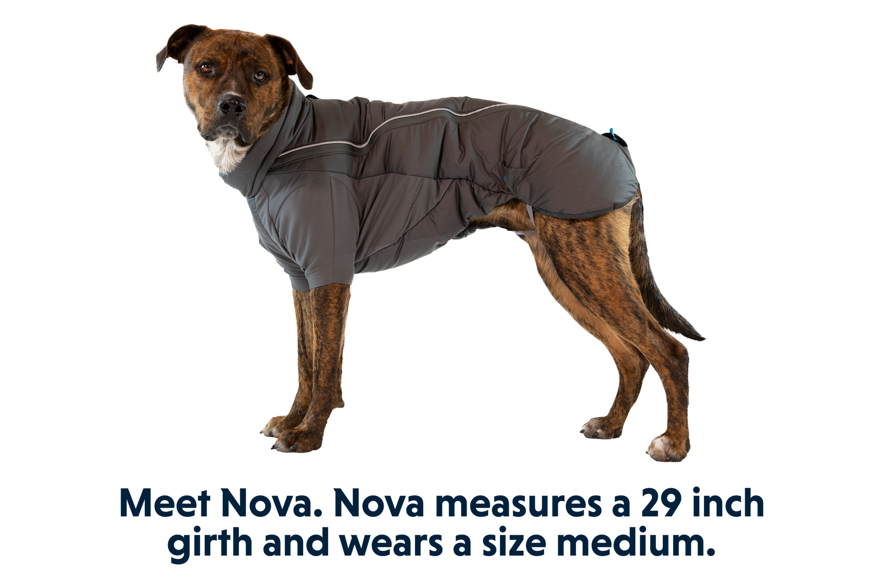 Furness™ Dog Jacket