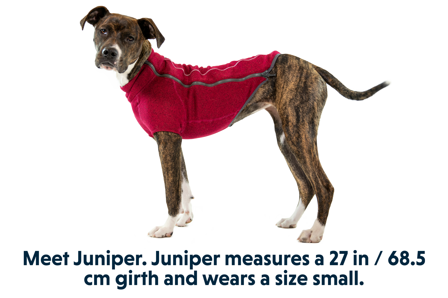 Fernie™ Dog Sweater
