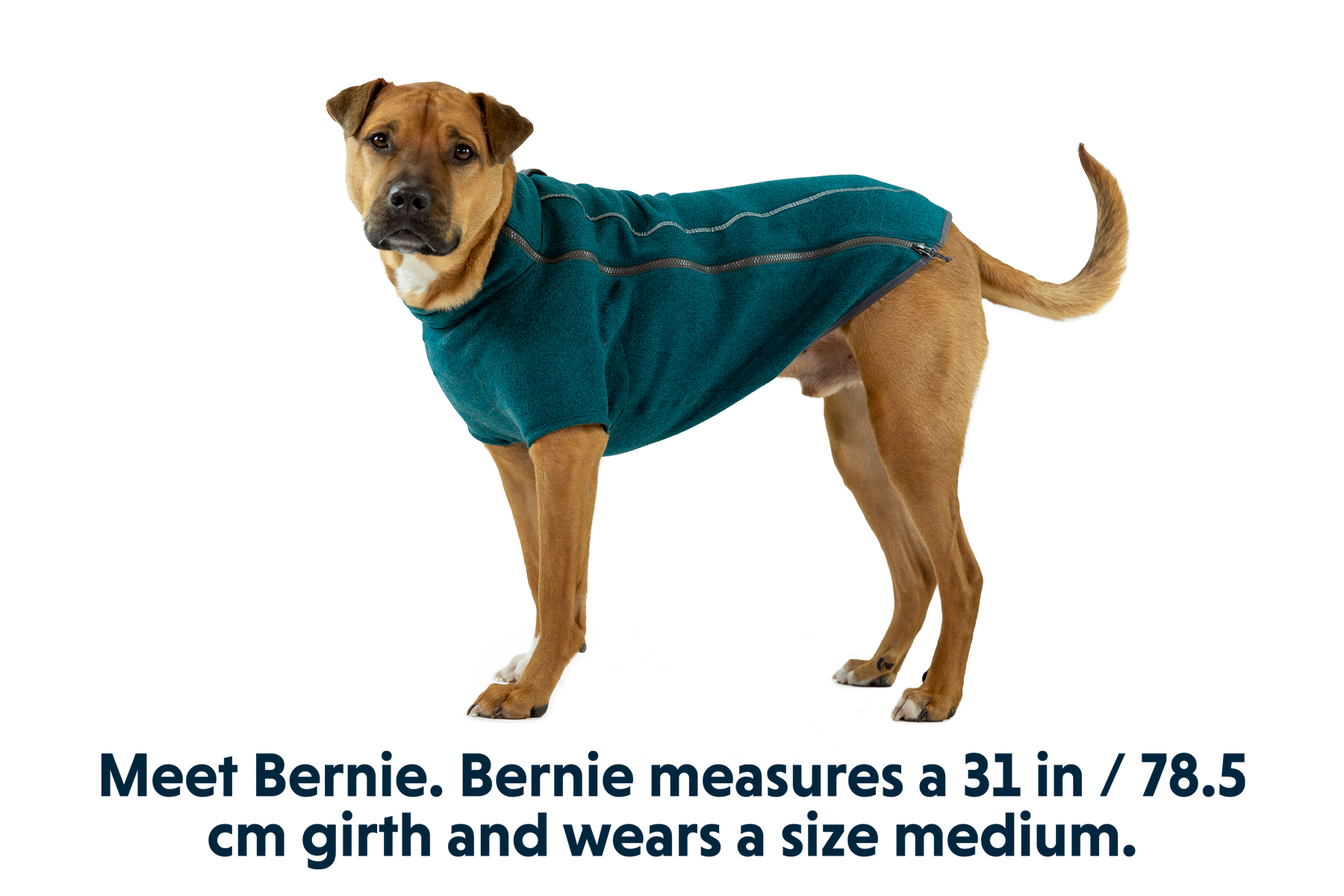 Fernie™ Dog Sweater