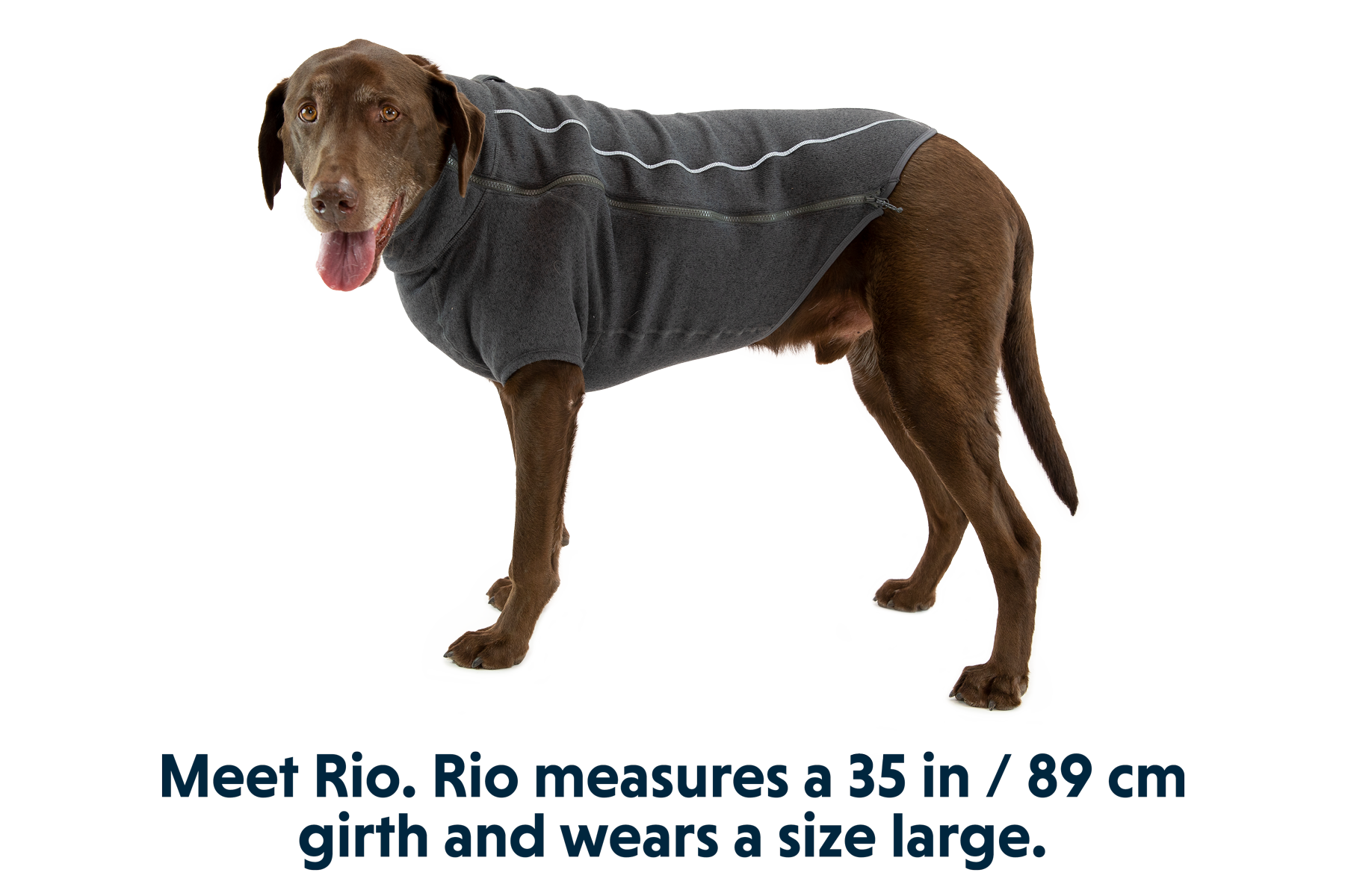 Fernie™ Dog Sweater