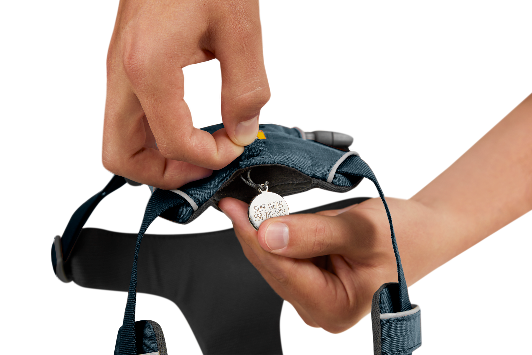Front Range® Dog Harness