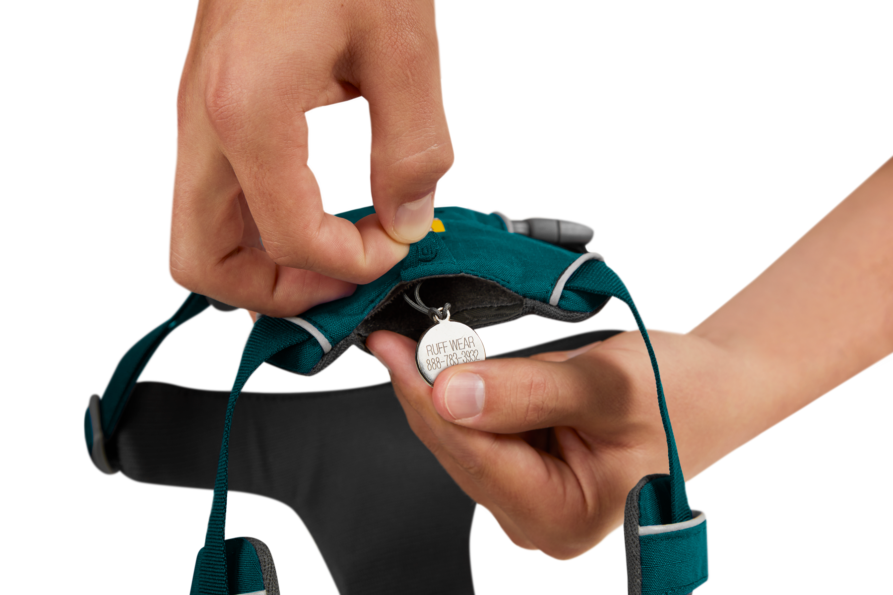 Front Range® Dog Harness