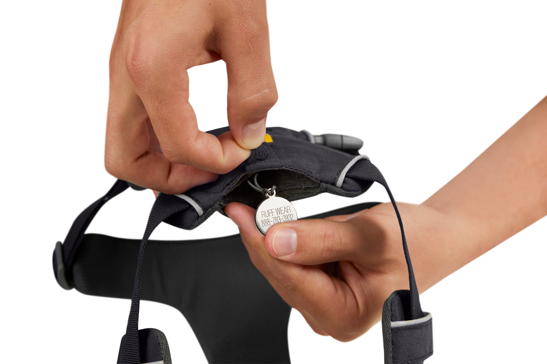 Front Range® Dog Harness