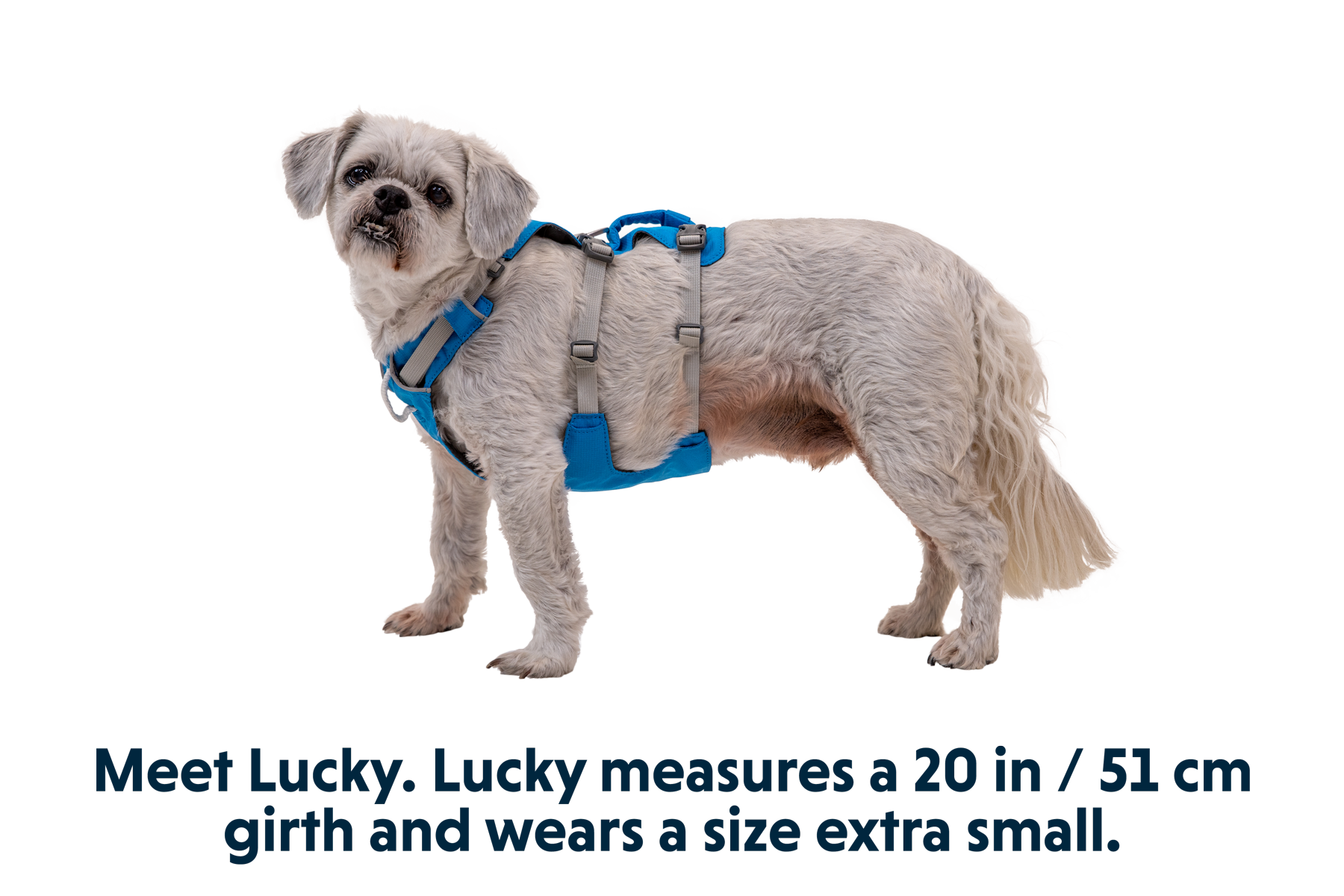 Flagline™ Dog Harness with Handle