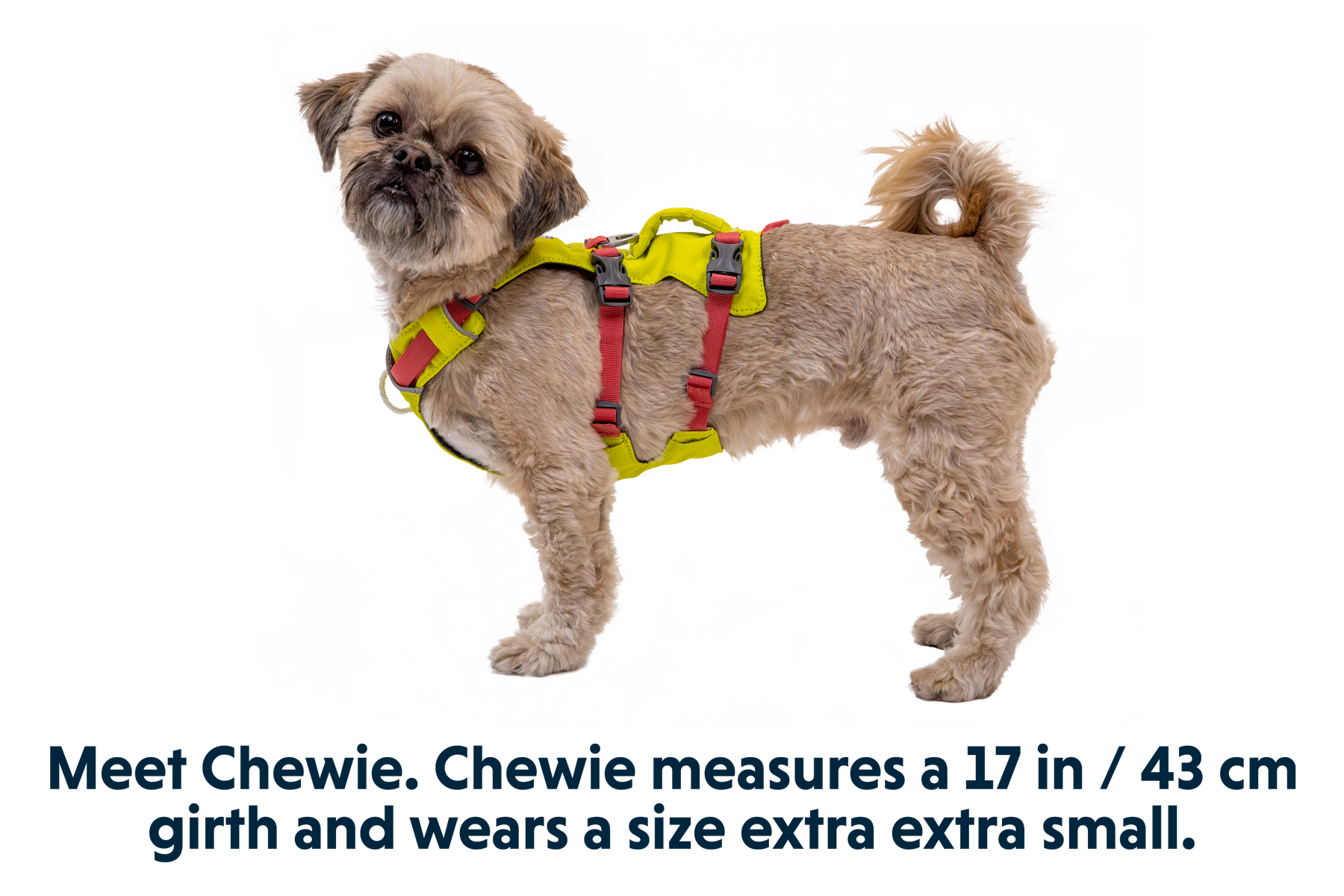Flagline™ Dog Harness with Handle