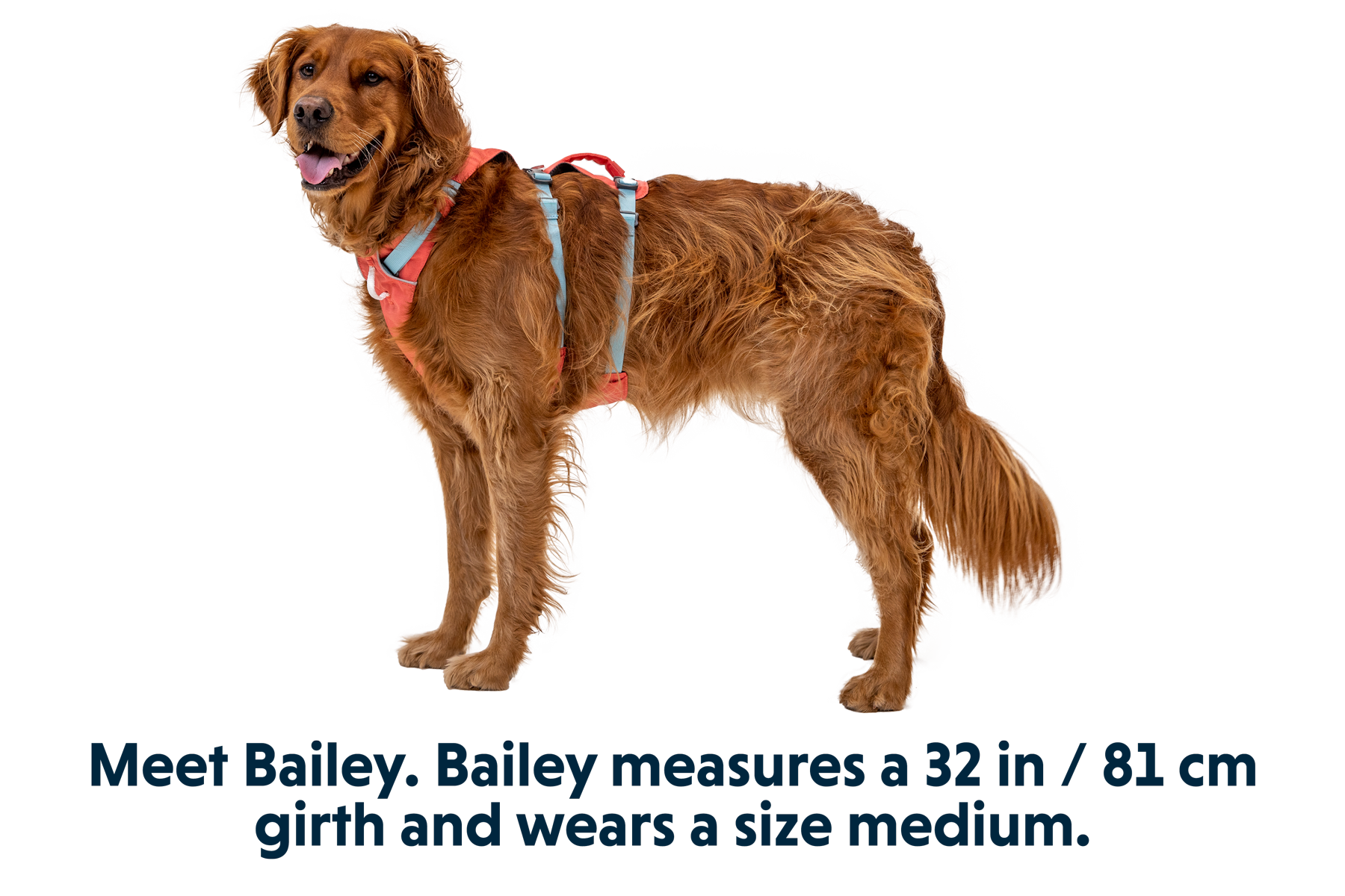 Flagline™ Dog Harness with Handle