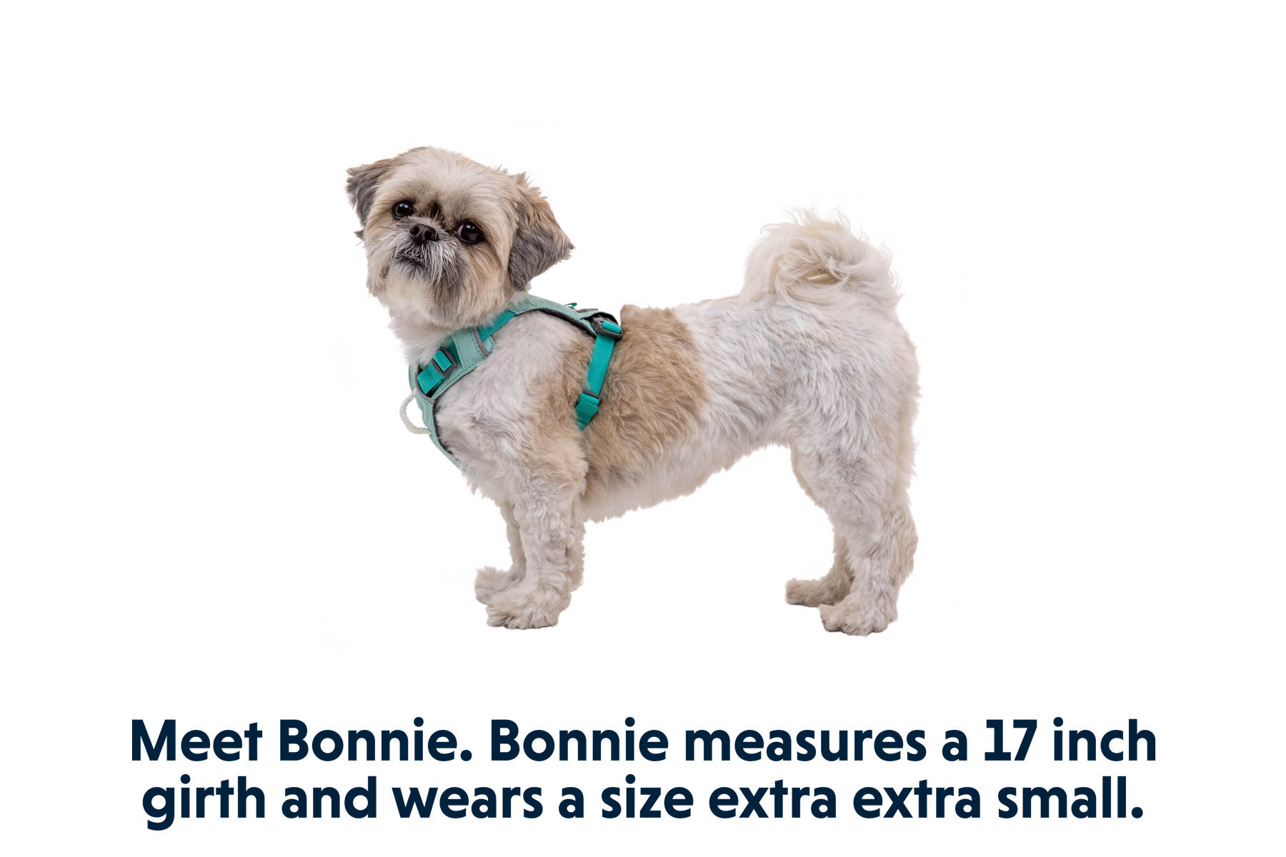 Hi & Light™ Lightweight Dog Harness