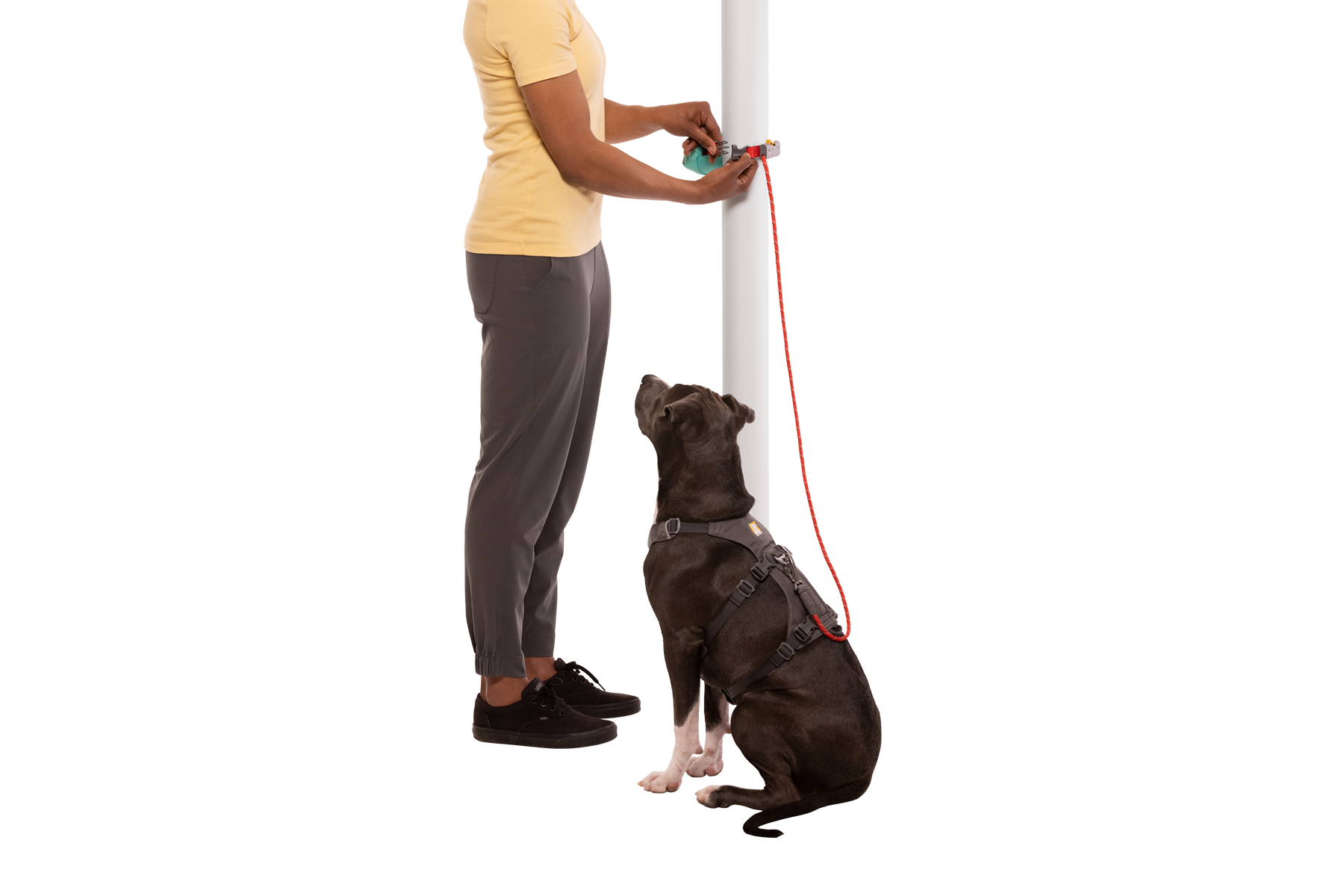 ANTI SHOCK Dog SEAT BELT pet Travel Car Safety Harnesses Lead Restraint Strap