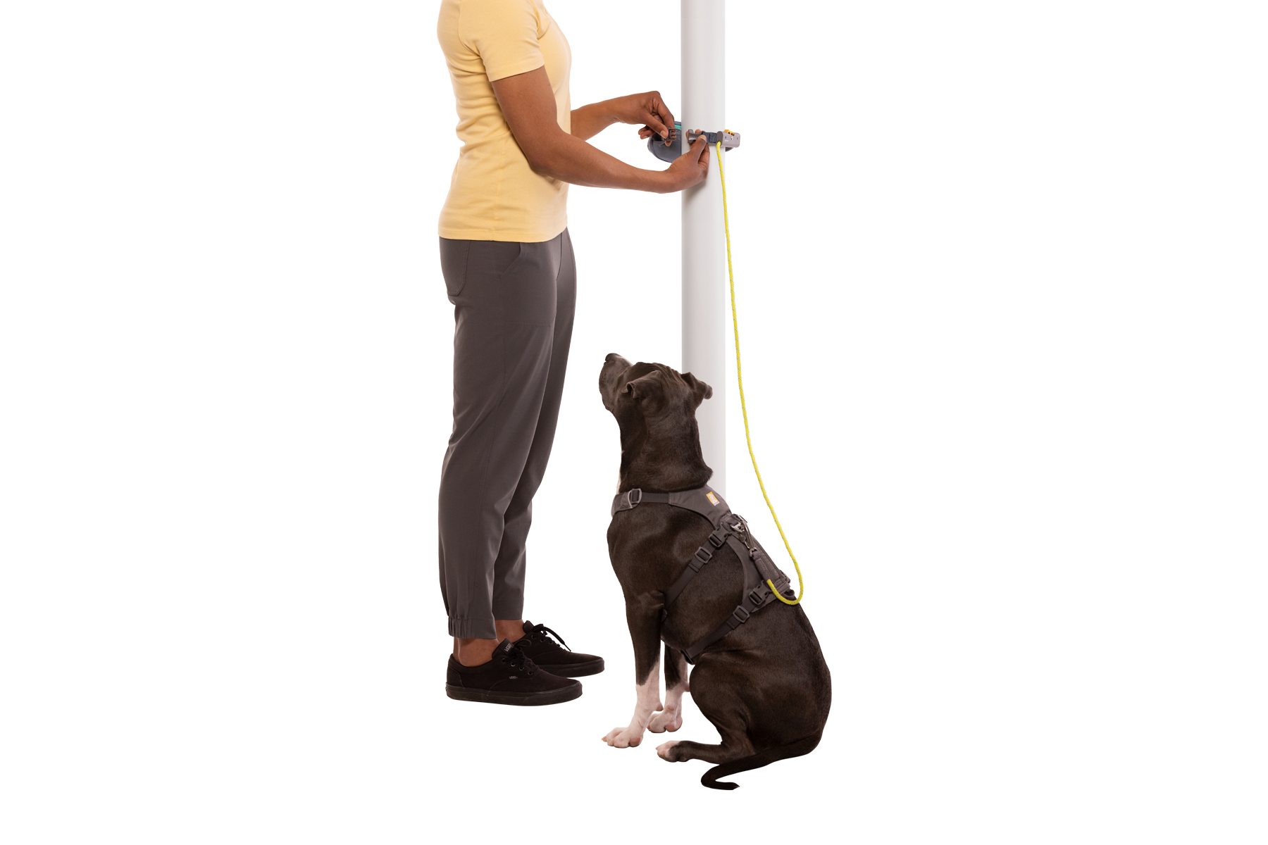ANTI SHOCK Dog SEAT BELT pet Travel Car Safety Harnesses Lead Restraint Strap