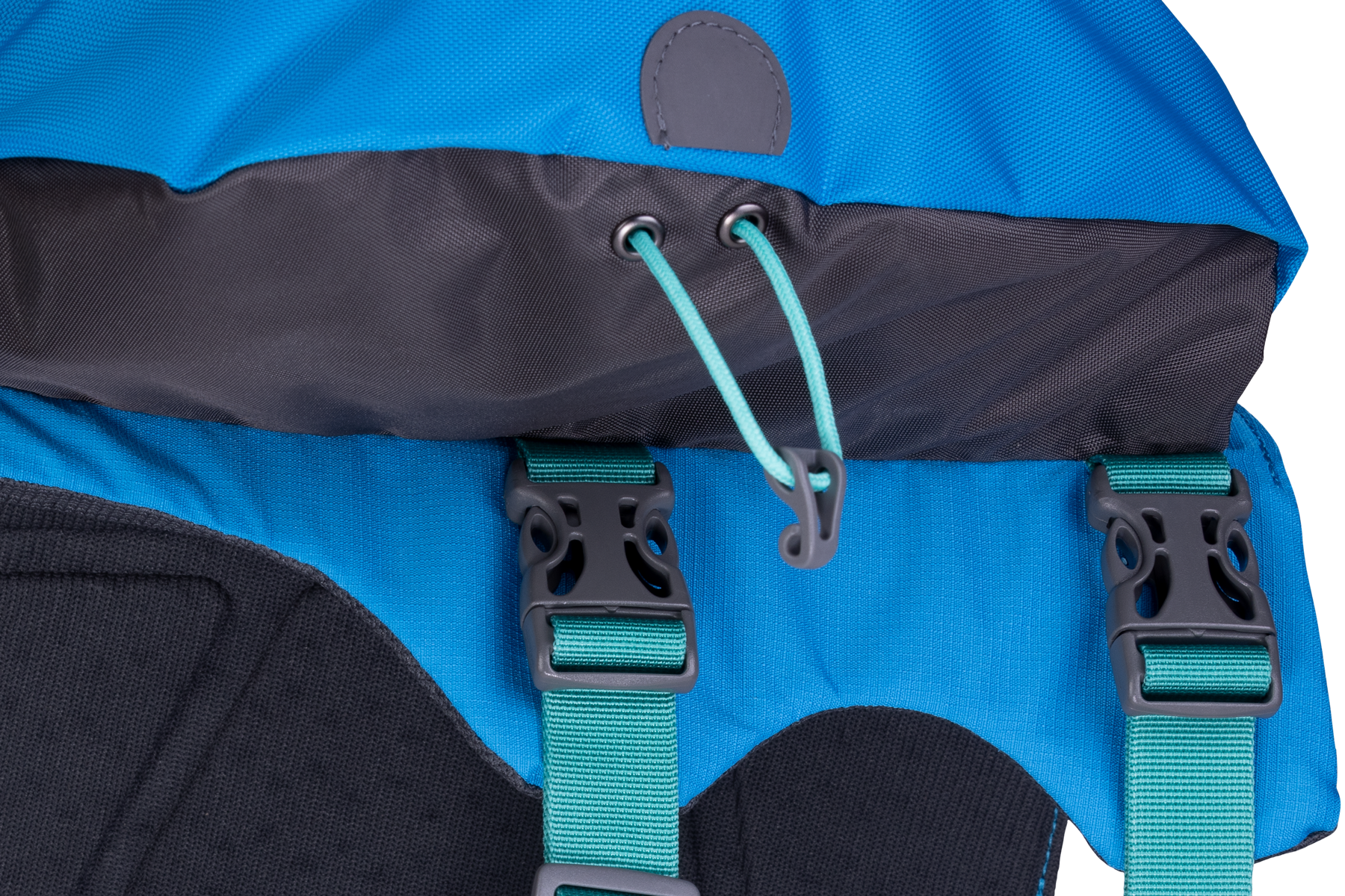 Approach™ Dog Backpack