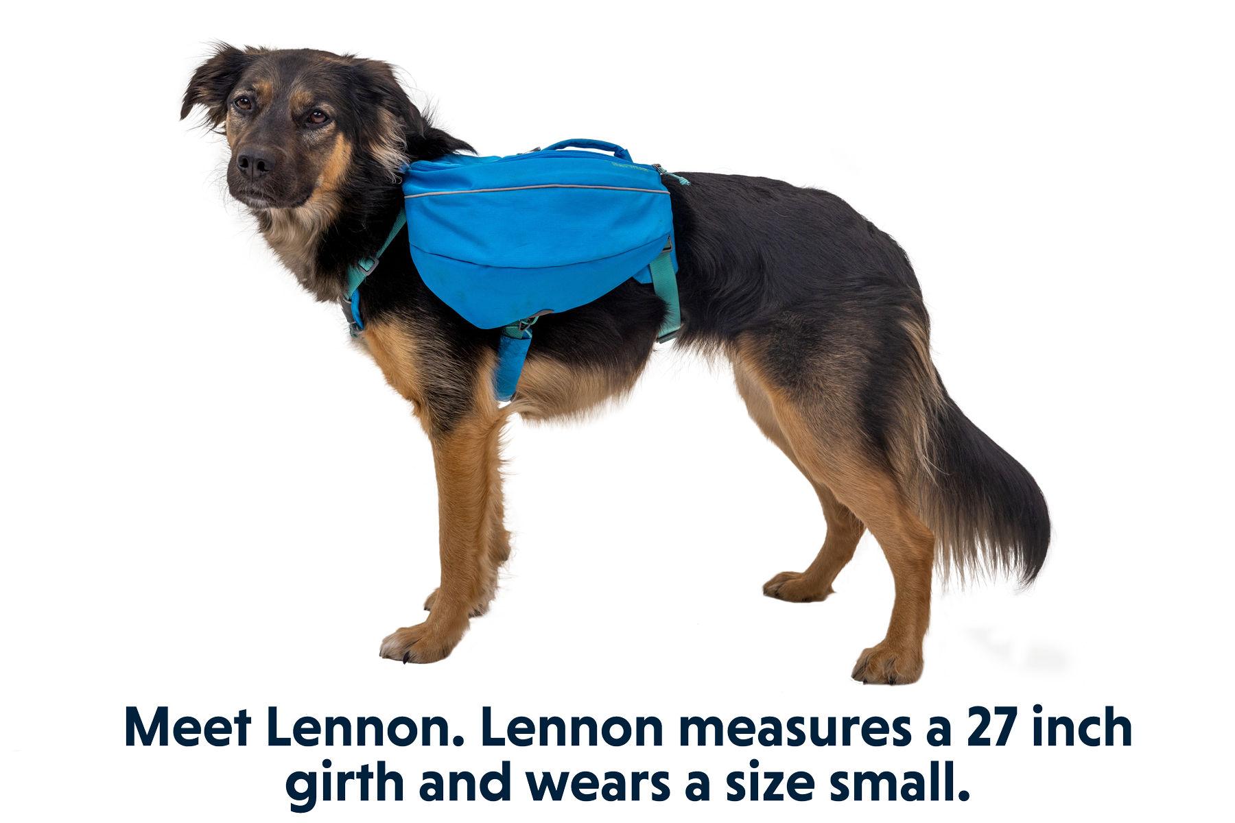Approach™ Dog Backpack
