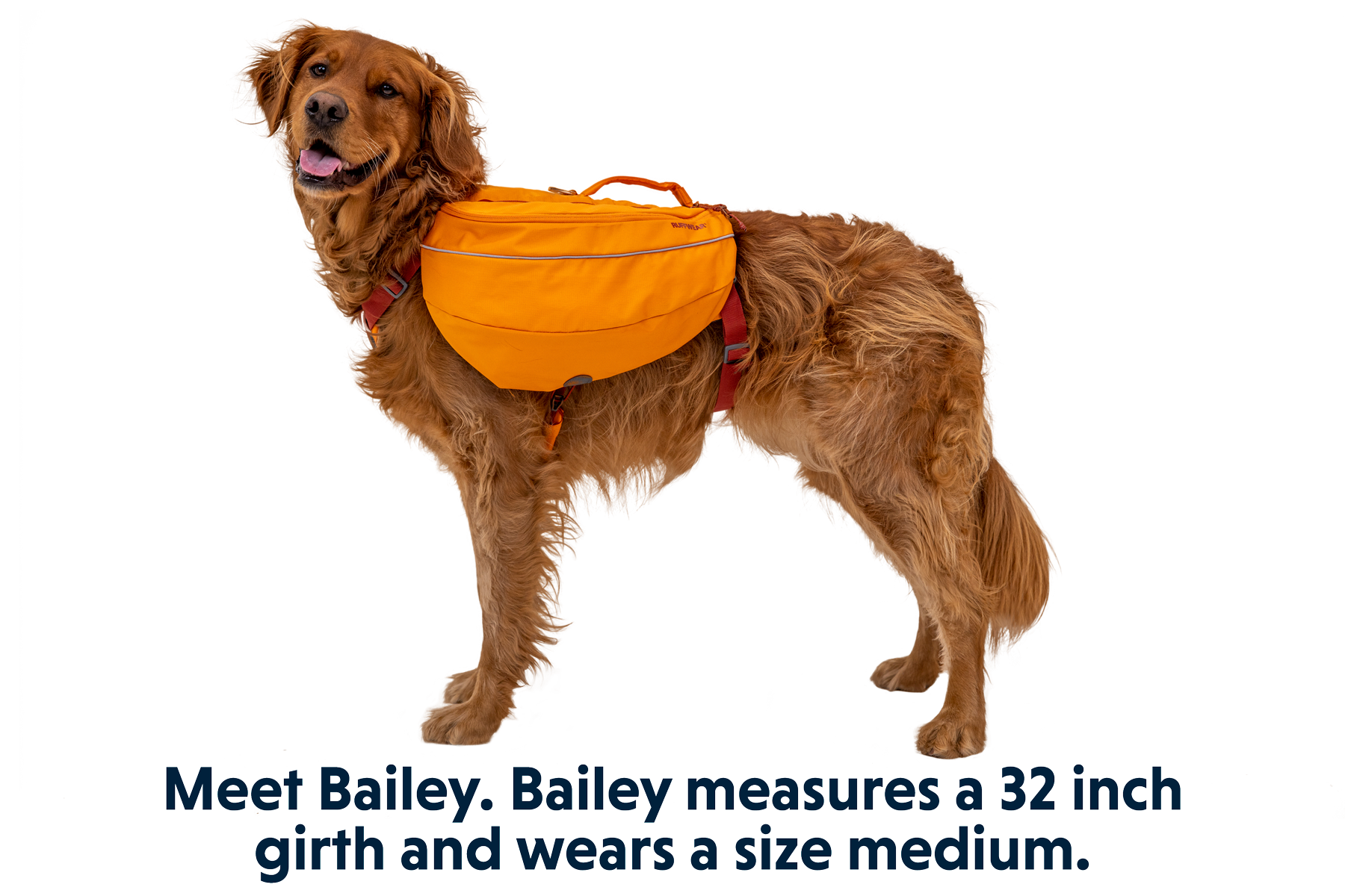 Approach™ Dog Backpack