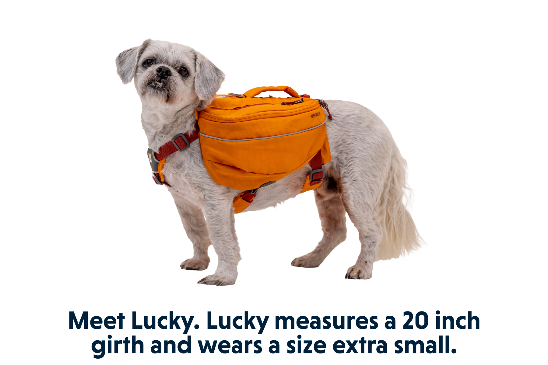 Approach™ Dog Backpack
