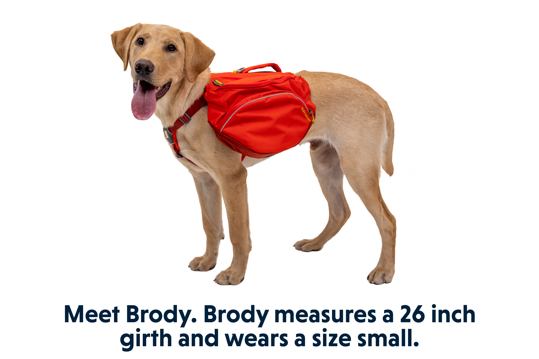 Palisades™ Dog Backpack