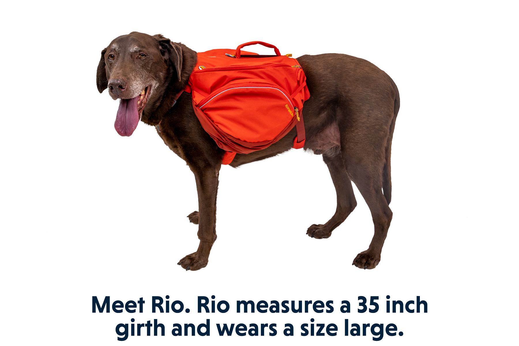 Palisades™ Dog Backpack