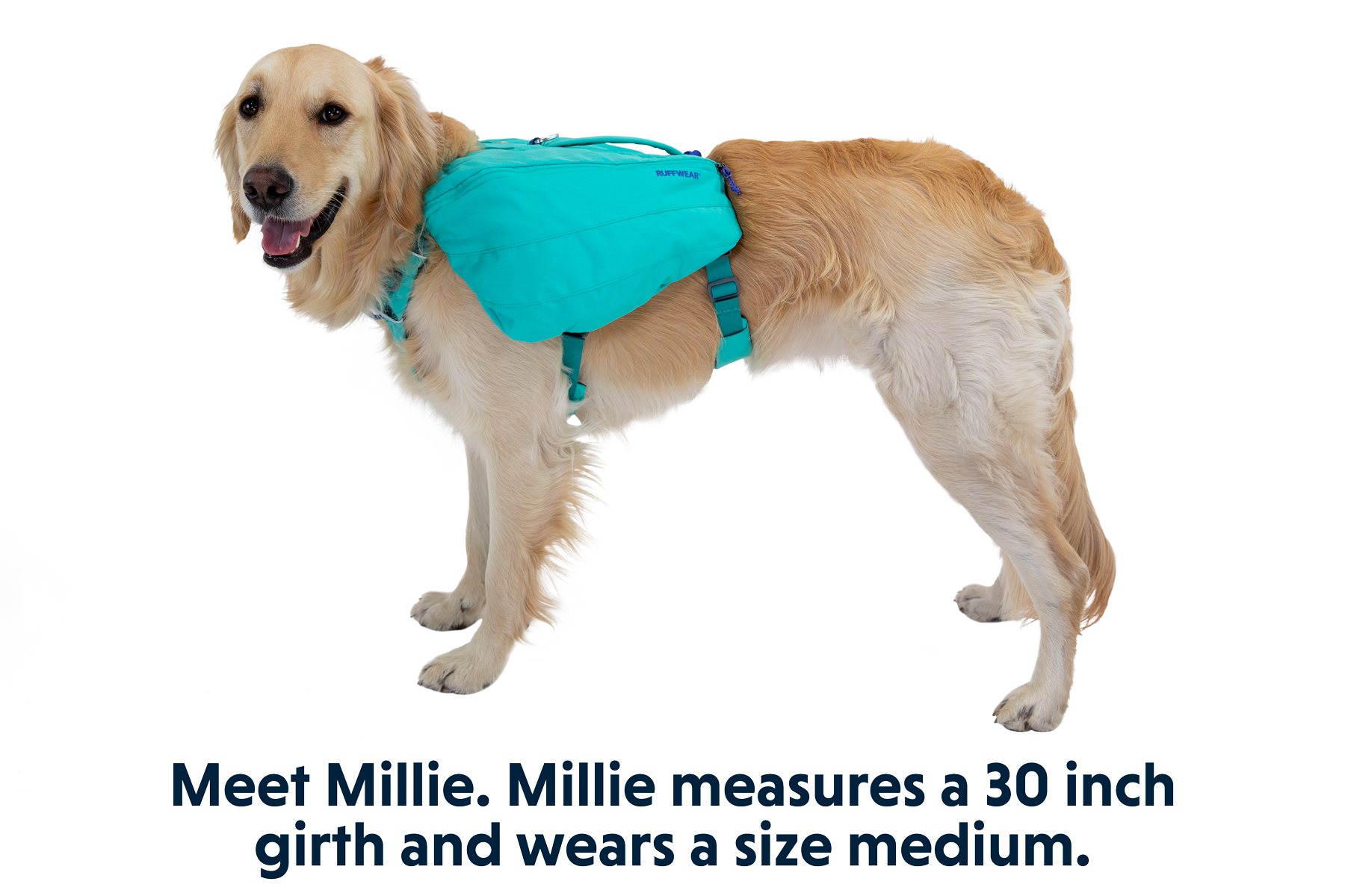 Front Range™ Day Pack