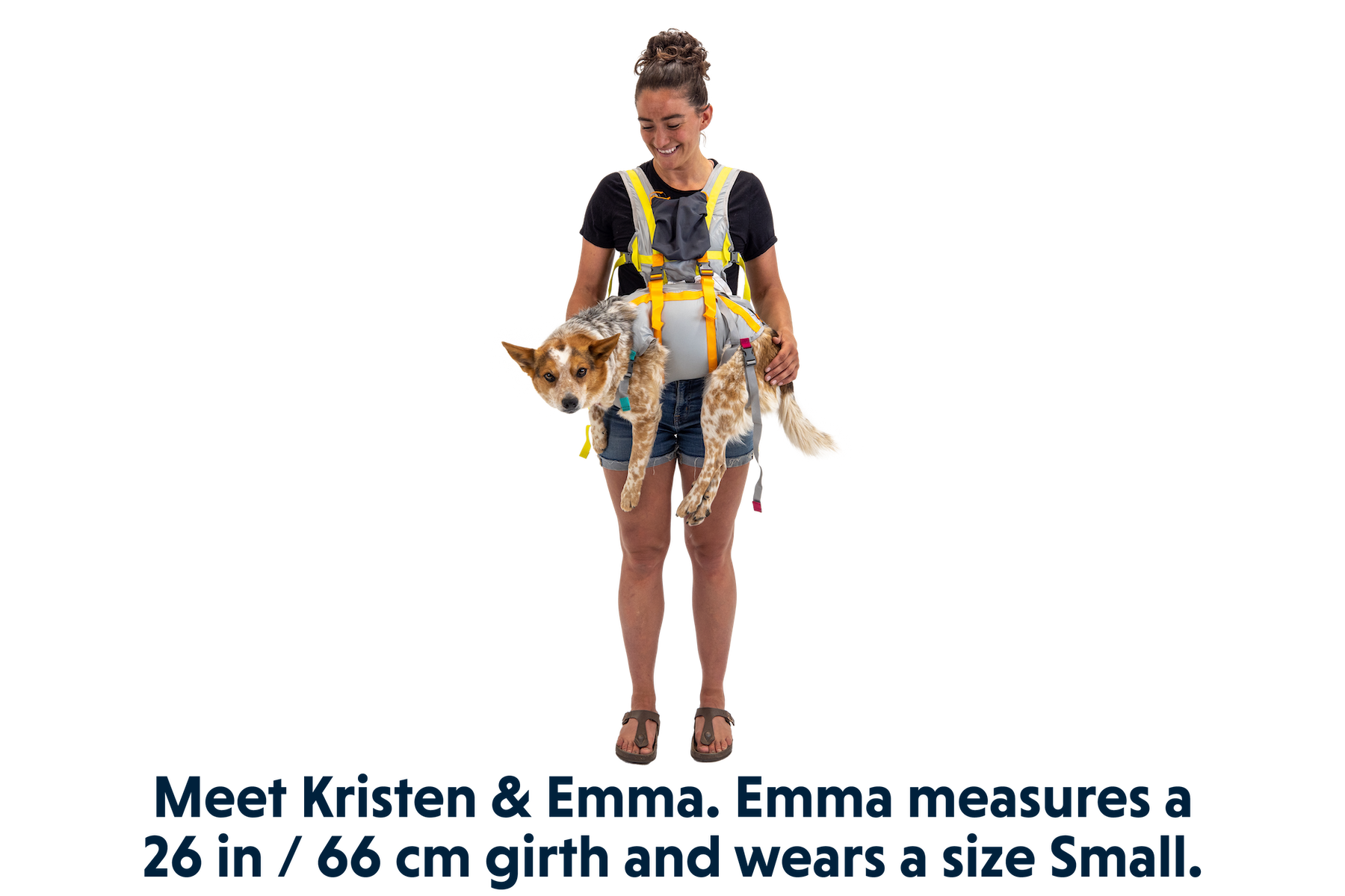 BackTrak™ Dog Evacuation Kit