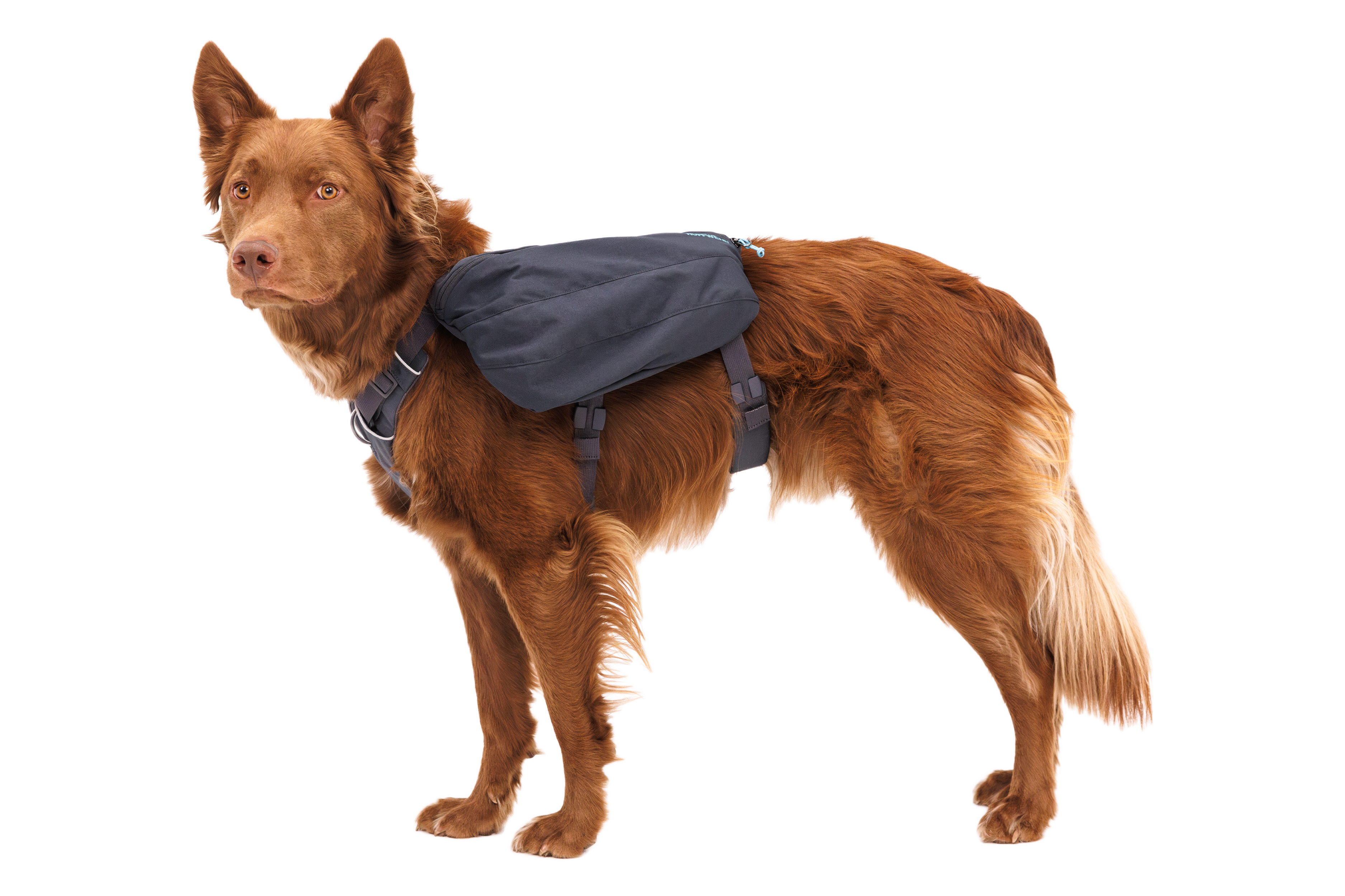 Front Range™ Day Pack