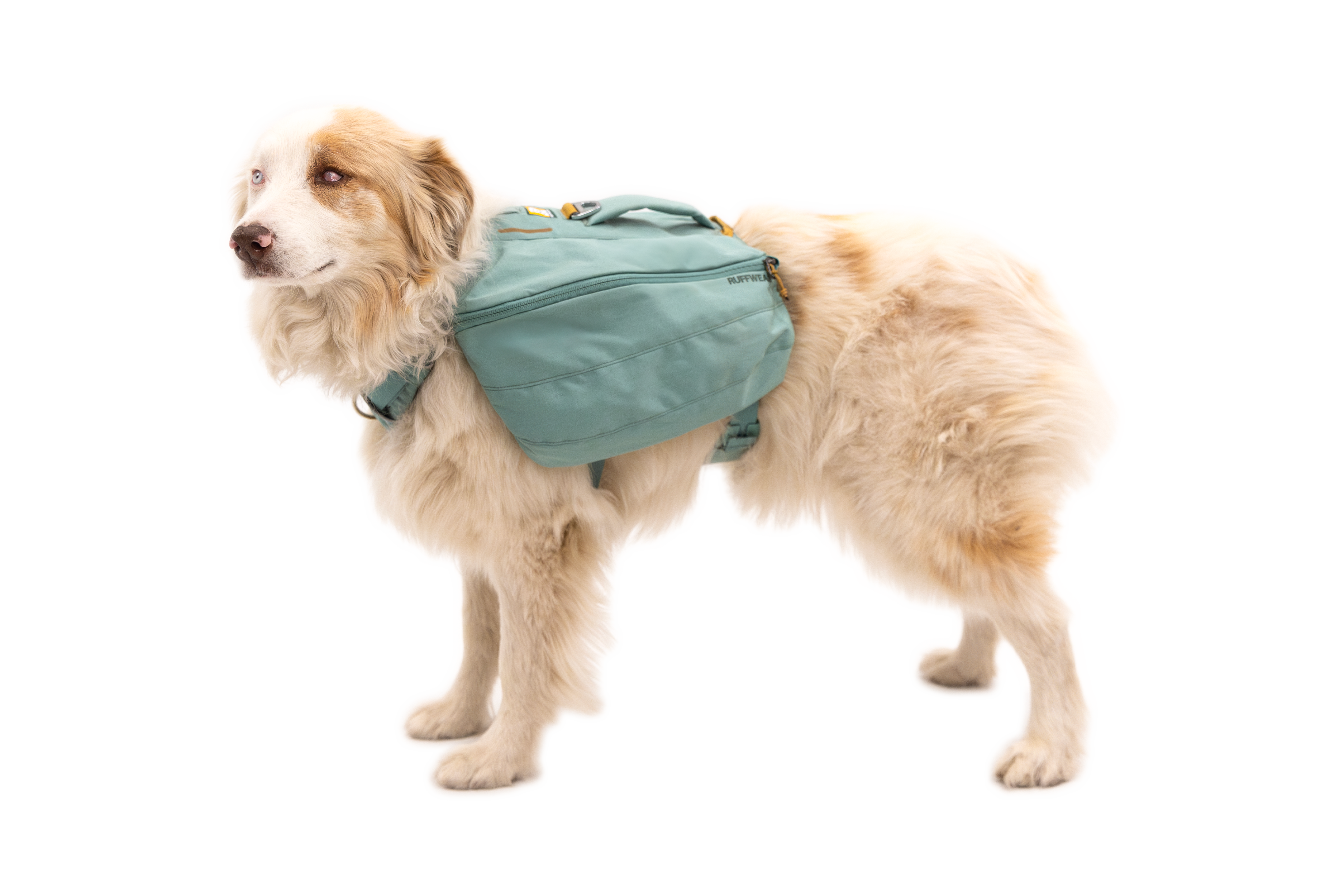 Front Range™ Day Pack