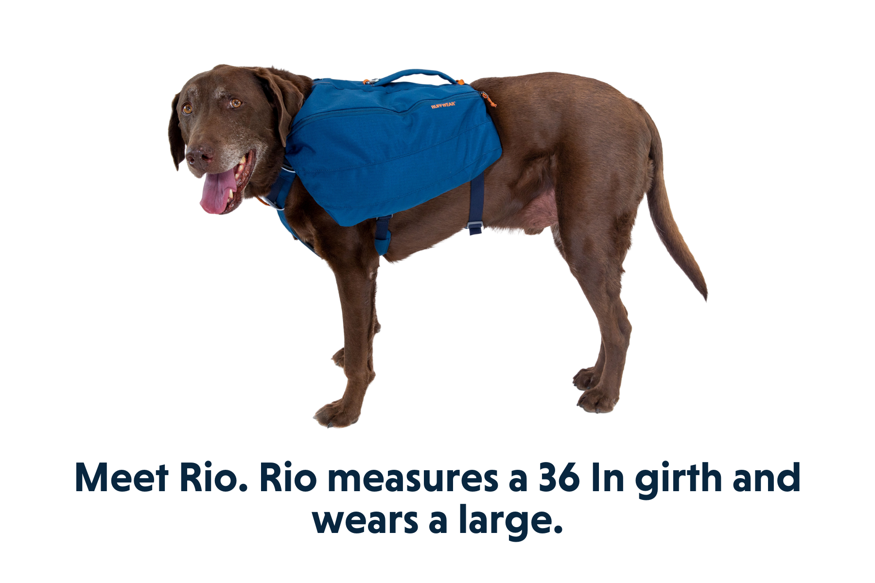 Front Range™ Day Pack