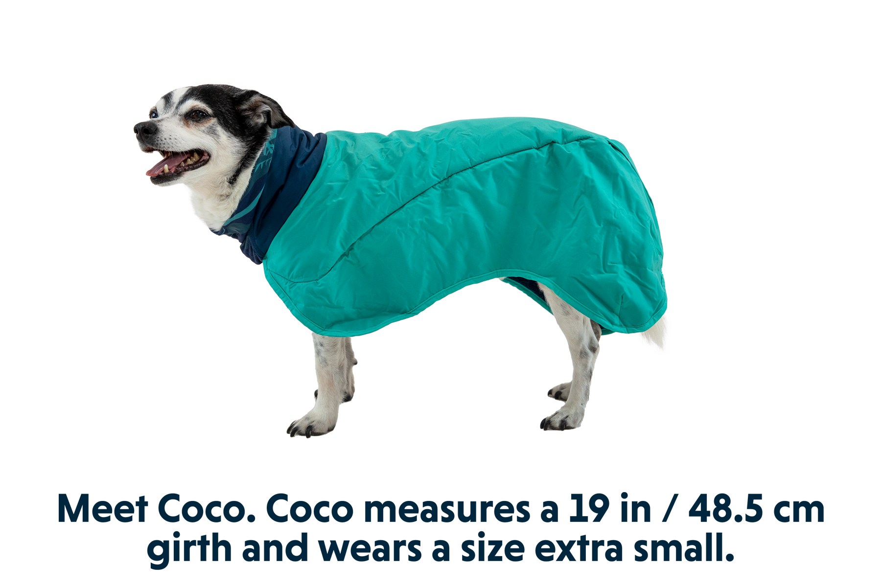 Dirtbag™ Dog Drying Towel