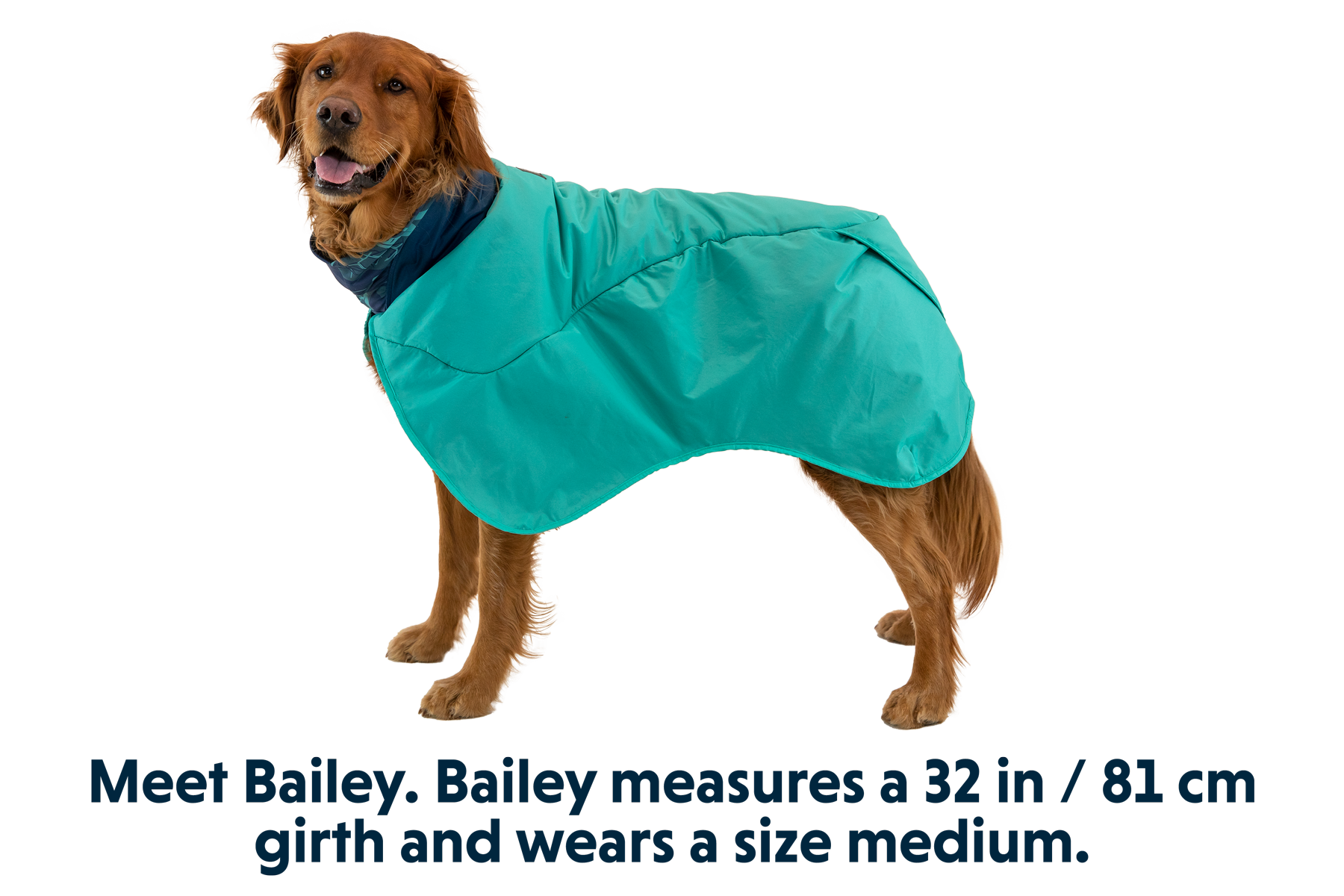 Dirtbag™ Dog Drying Towel