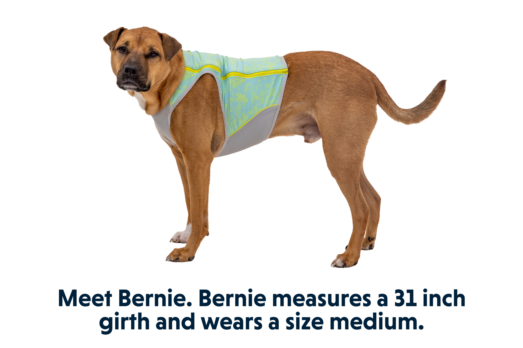Swamp Cooler Zip™ Dog Cooling Vest
